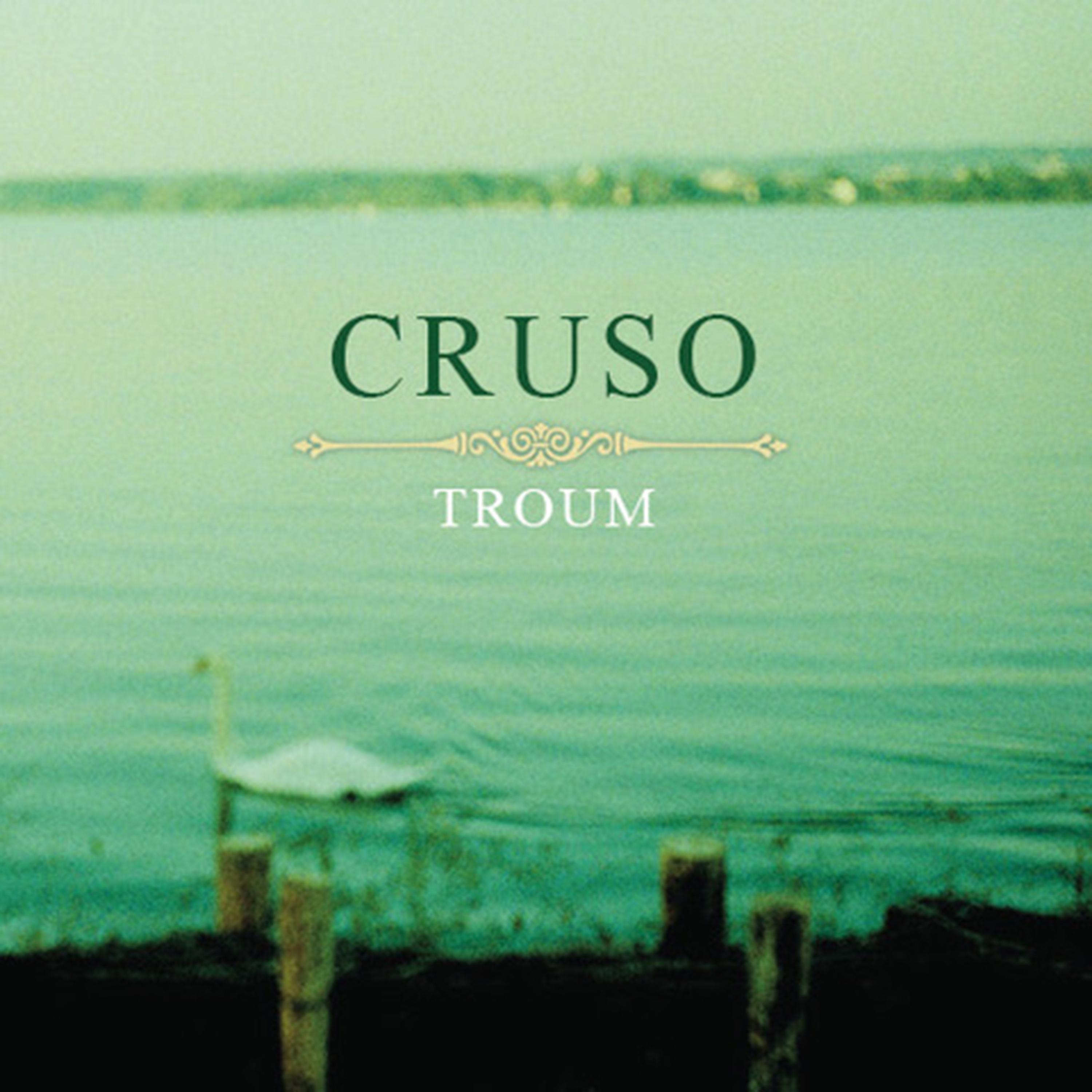 Постер альбома Troum (Single Version)