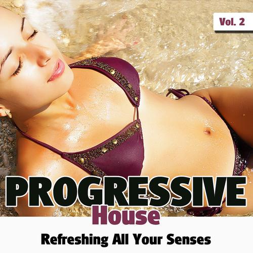 Постер альбома Progressive House, Vol.2 (Refreshing All Your Senses During Winter)