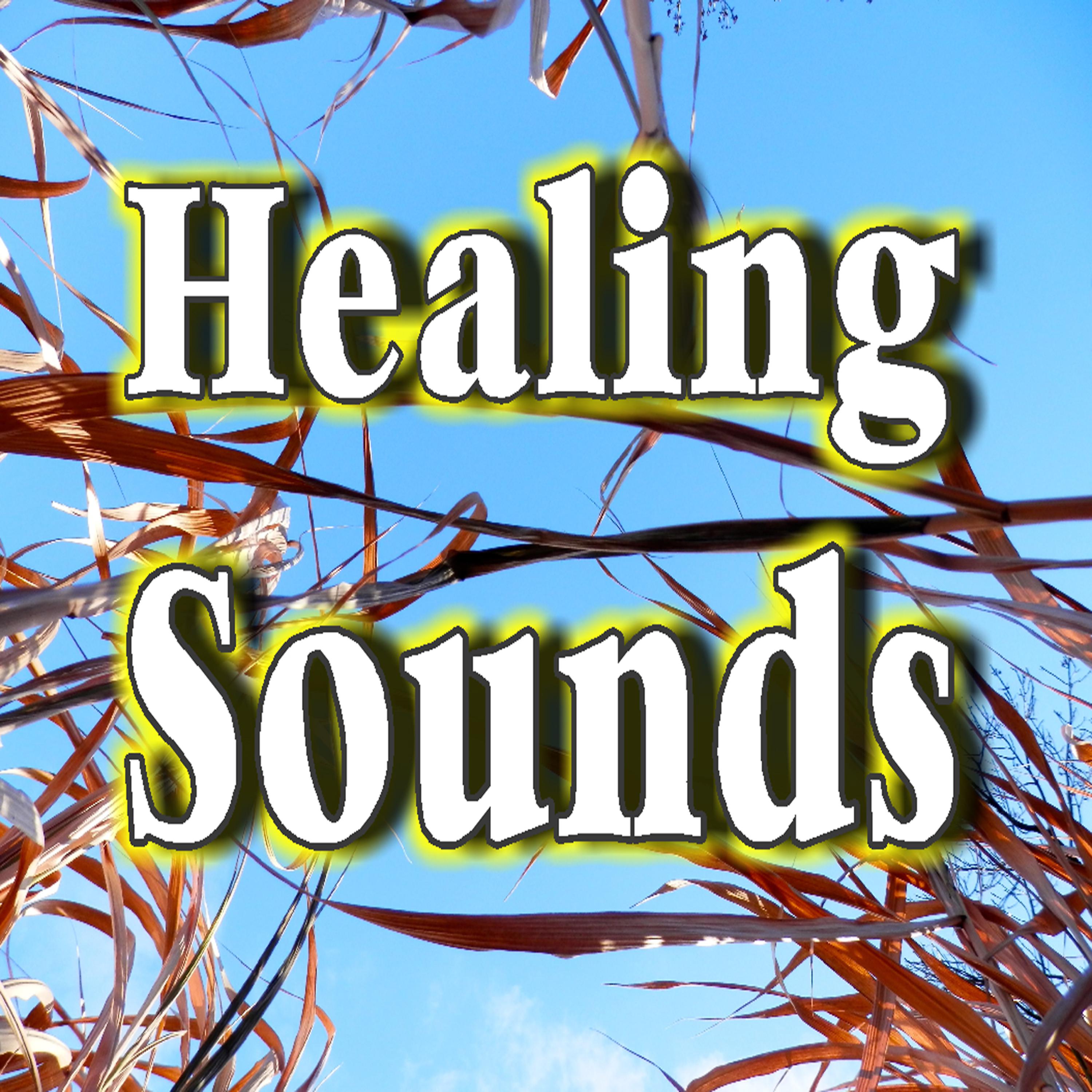 Постер альбома Healing Sounds