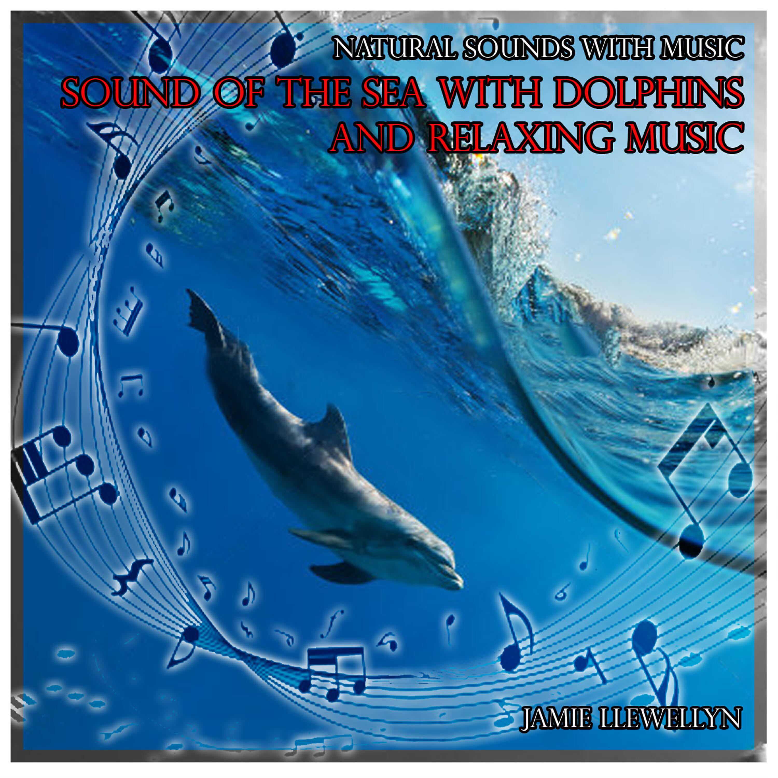 Jamie Llewellyn - Sounds of Nature: Cathedral Choir Gardens (Bonus Track)