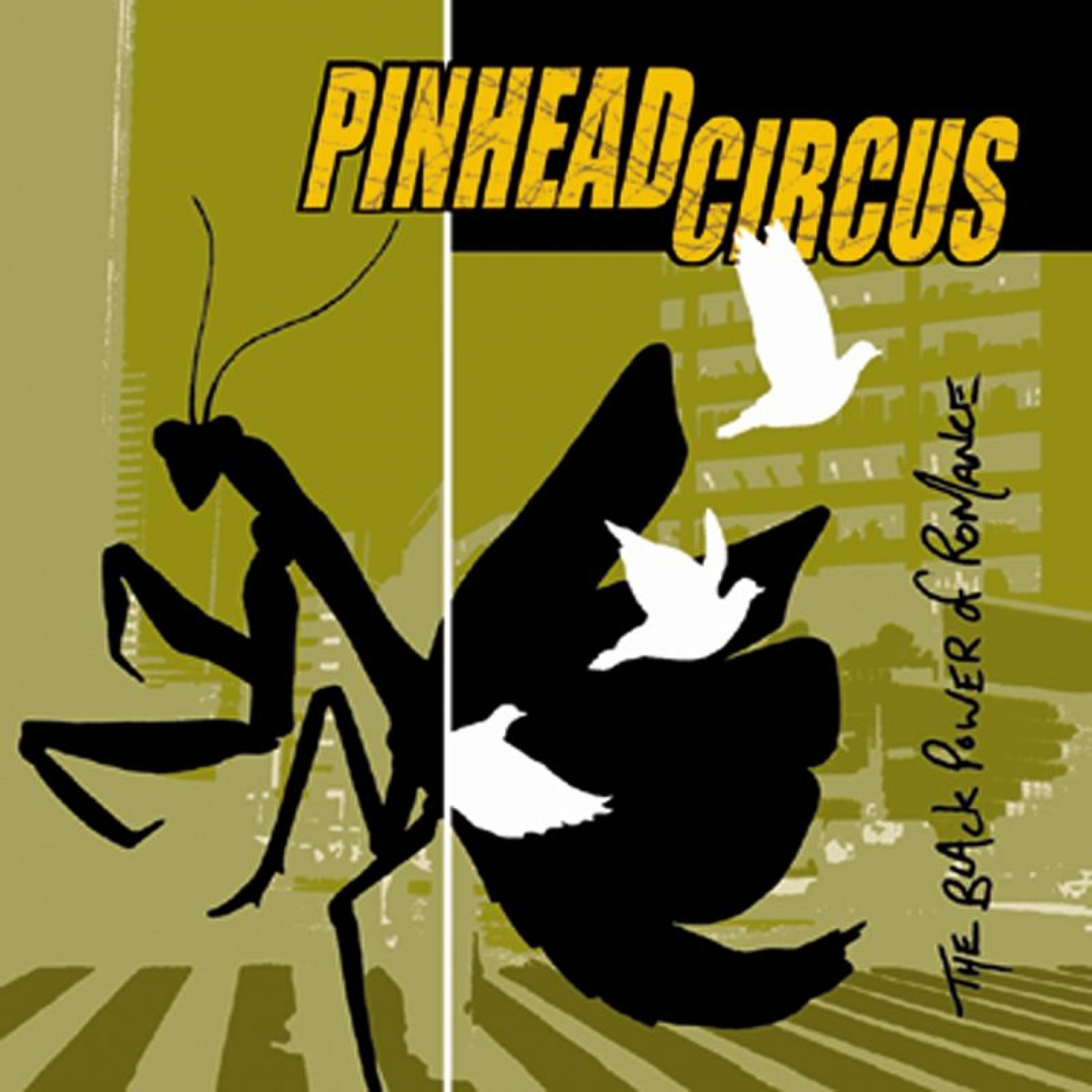 Pinhead Circus - Satisfaction Simply Knowing