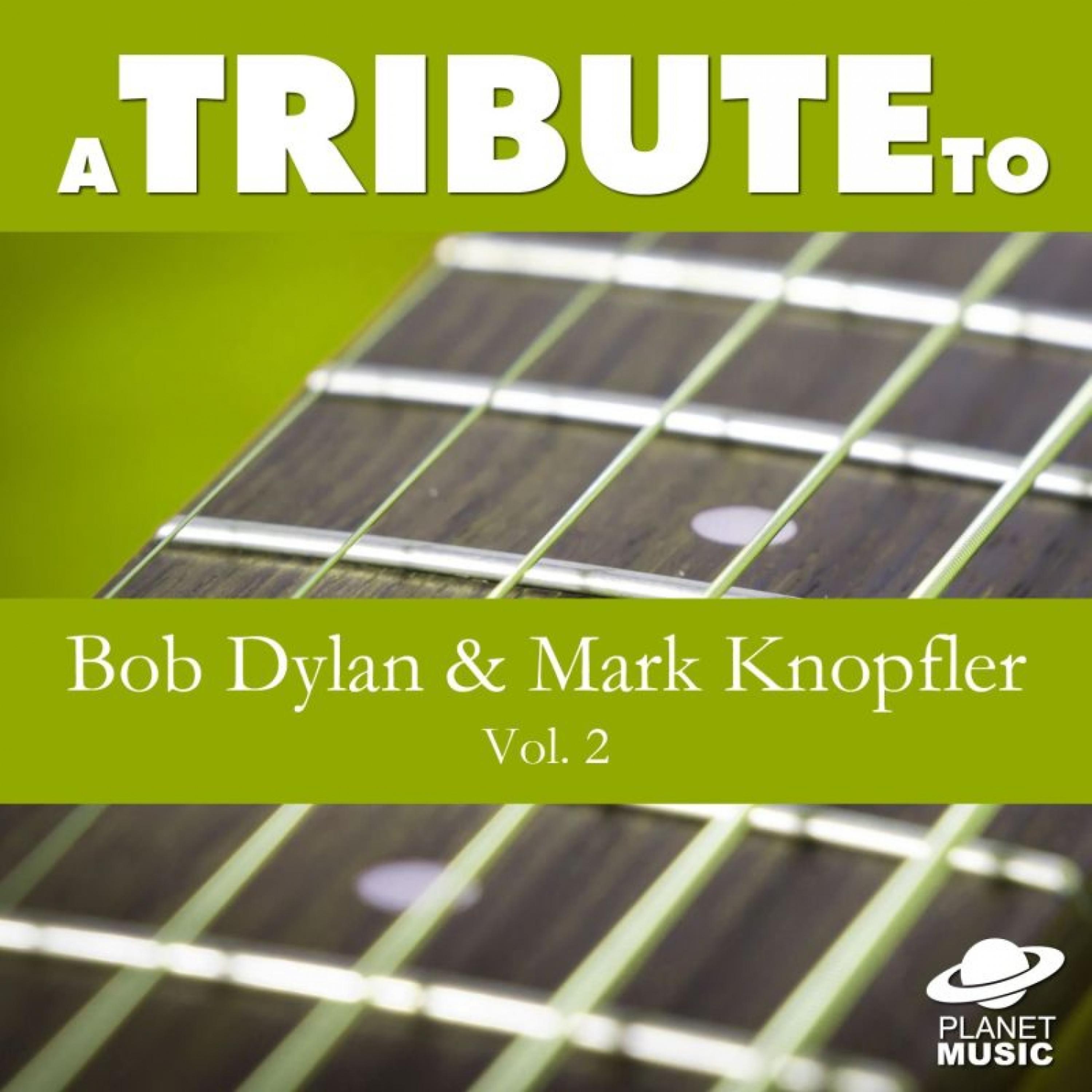 Постер альбома A Tribute to Bob Dylan and Mark Knopfler, Vol. 2