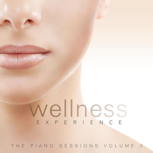 Постер альбома Wellness Experience: The Piano Sessions, Vol. 2