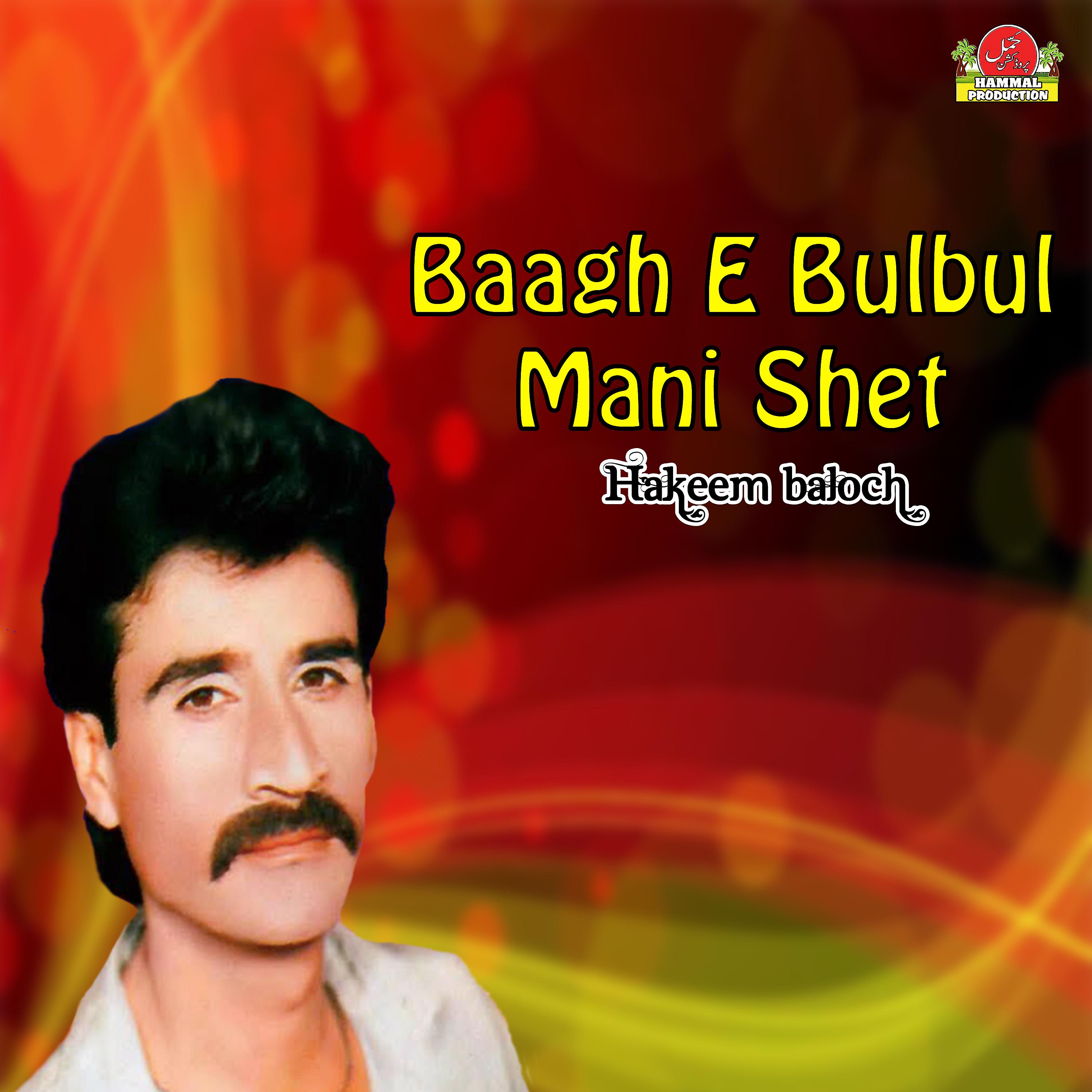 Постер альбома Baagh E Bulbul Mani Shet