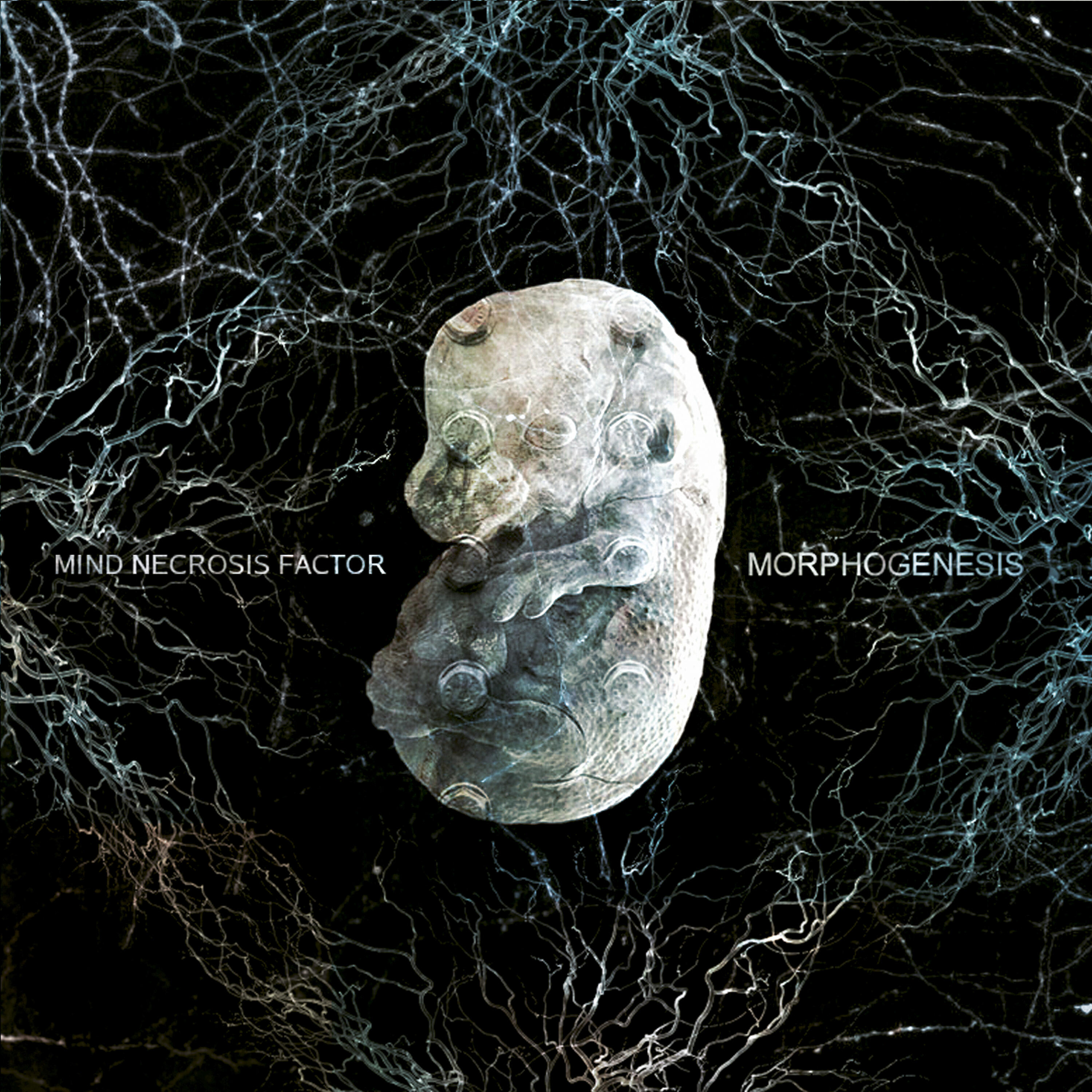Mind Necrosis Factor - Shabda