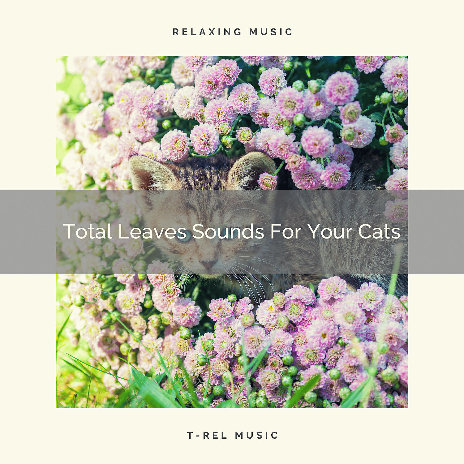 Cats Music Den - Calming Waves Noises Especially For Beloved Cats