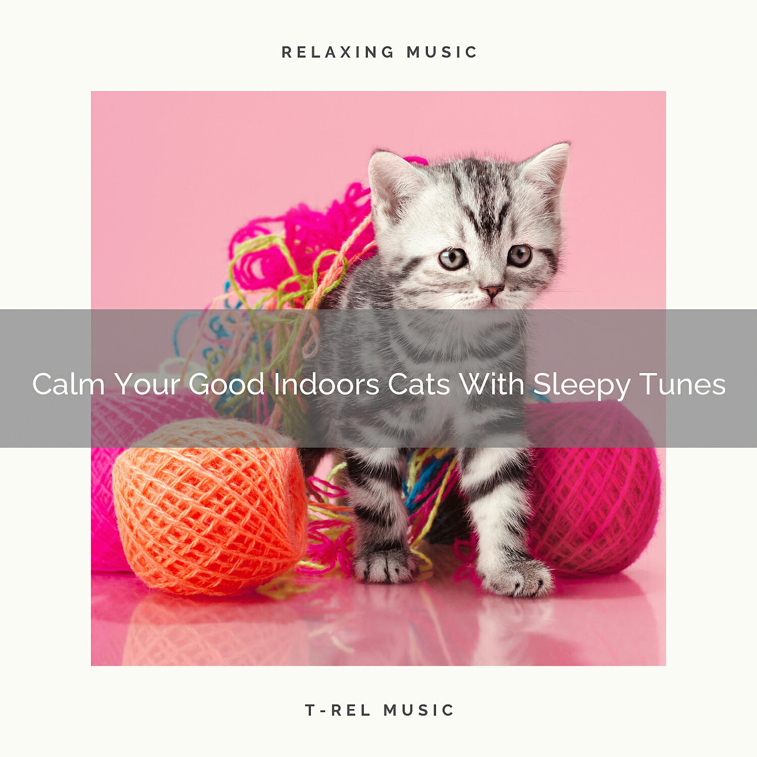 Cats Music Cradle - Waves Tunes For Cats