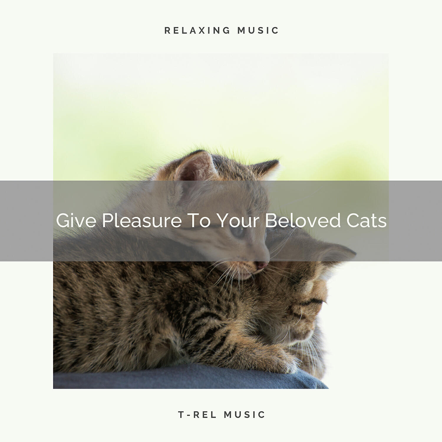 Cats Music Cradle - Complex Sea Tunes Especially For Beloved Cats