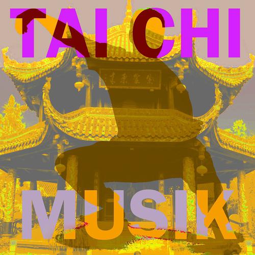Постер альбома Tai chi musik