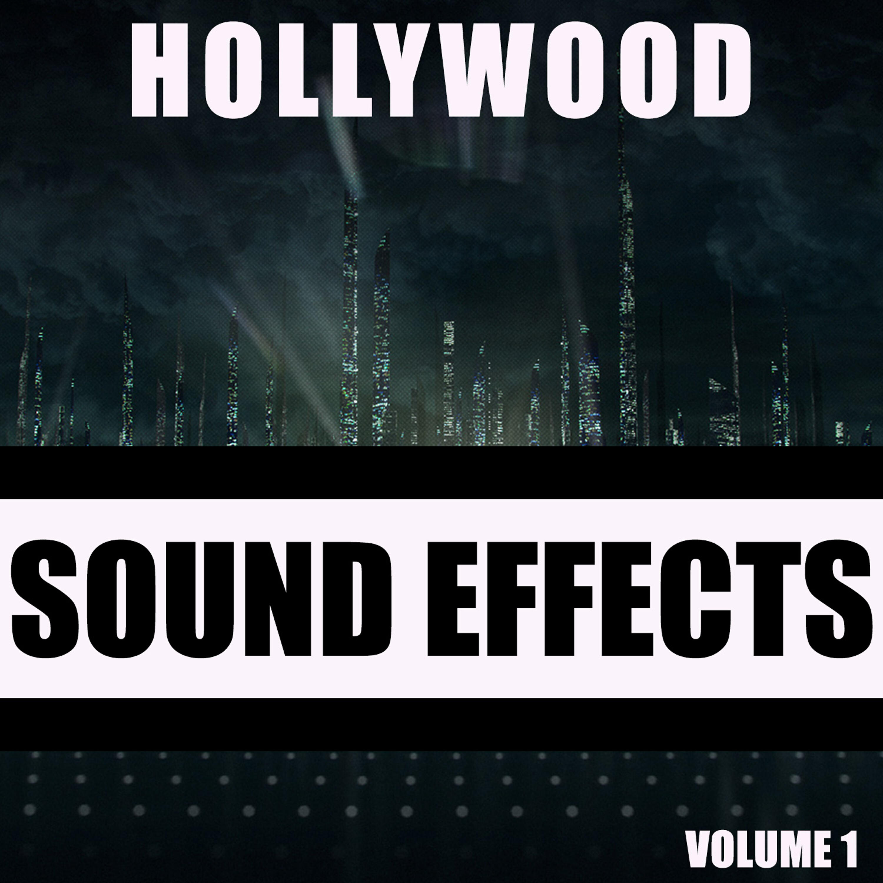 Hollywood Sound Effects Library - Turkey Shoot