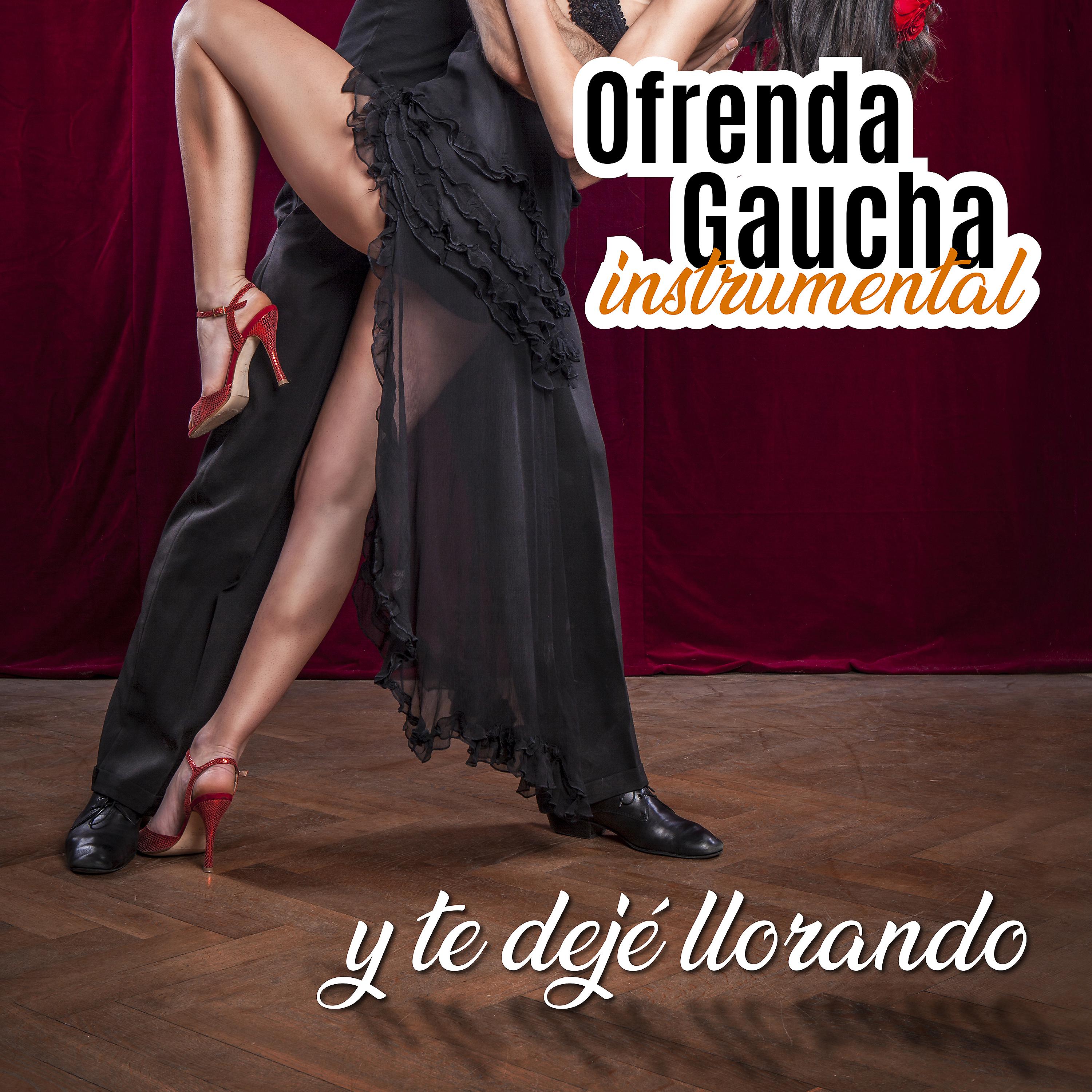 Постер альбома Ofrenda Gaucha: Y Te Dejé Llorando (Instrumental)