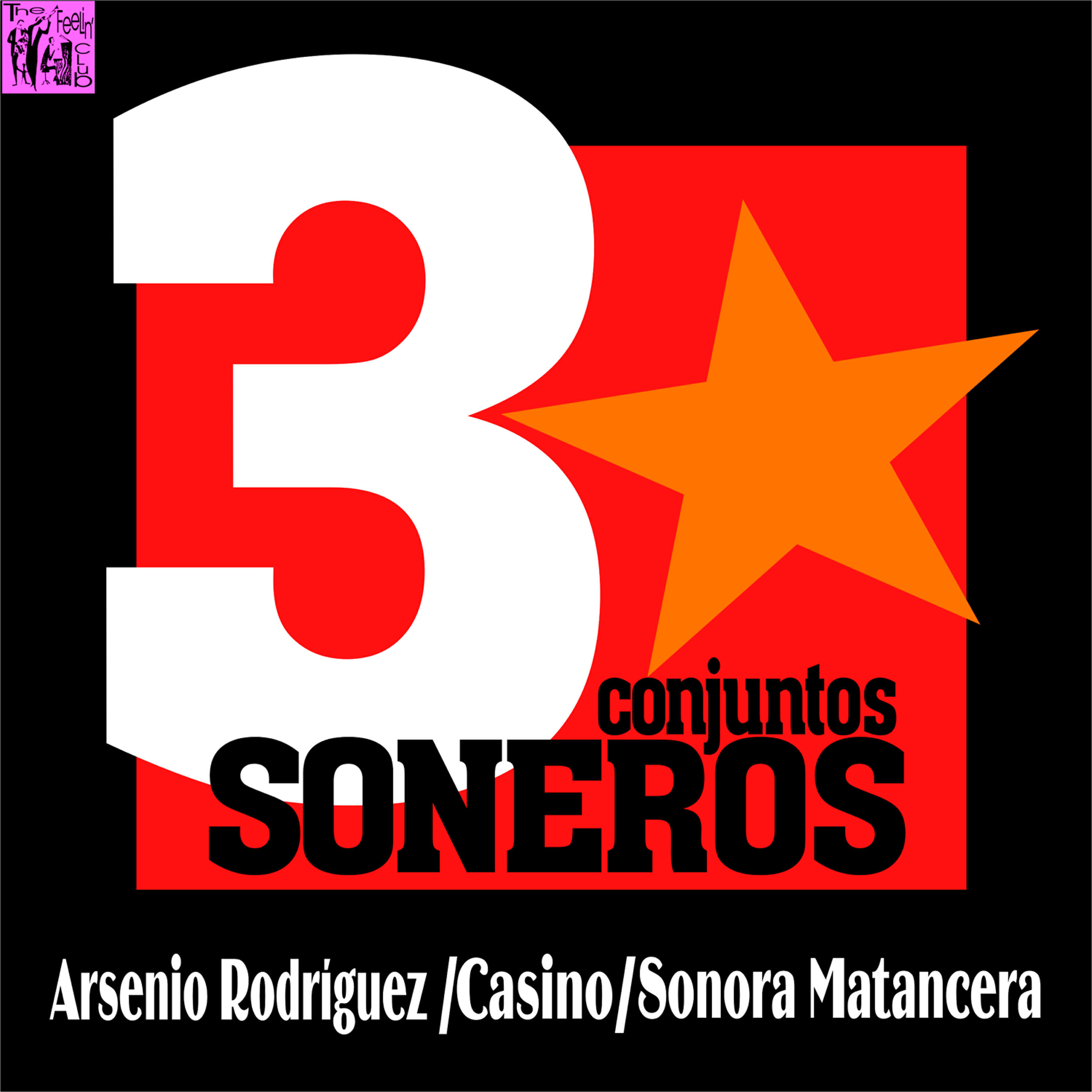 Conjunto Arsenio Rodríguez - Amores de Verano (Guaguancó)