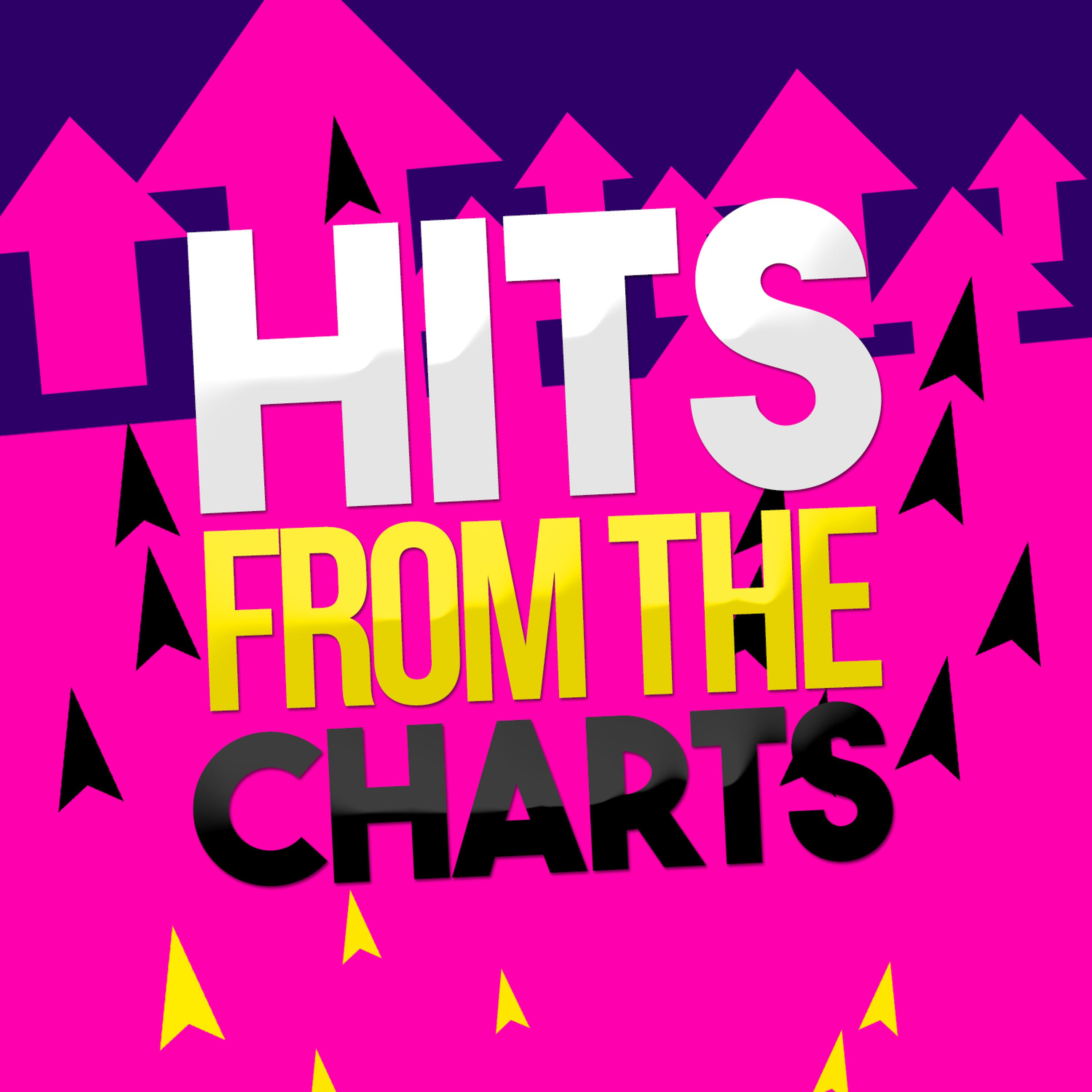 Постер альбома Hits from the Charts