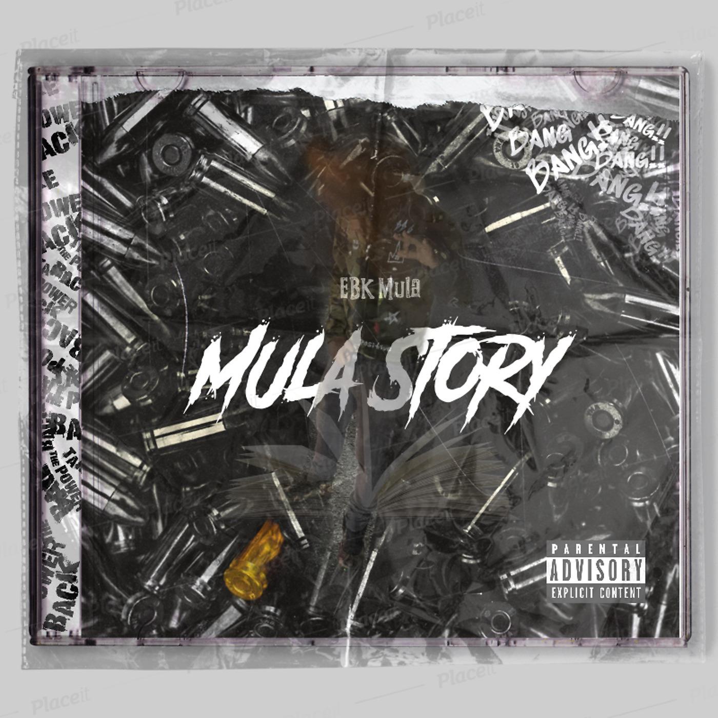Постер альбома Mula Story