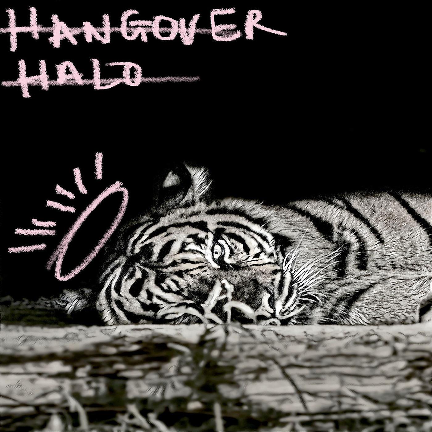 Постер альбома Hangover Halo