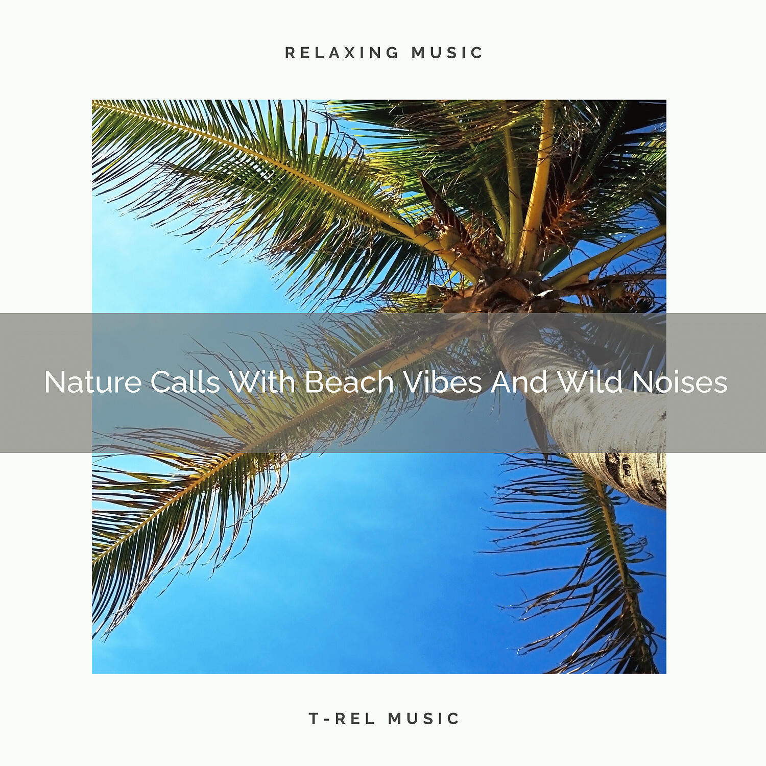 Nature Songs Nature Music - The Songs Of Mother Earth And River