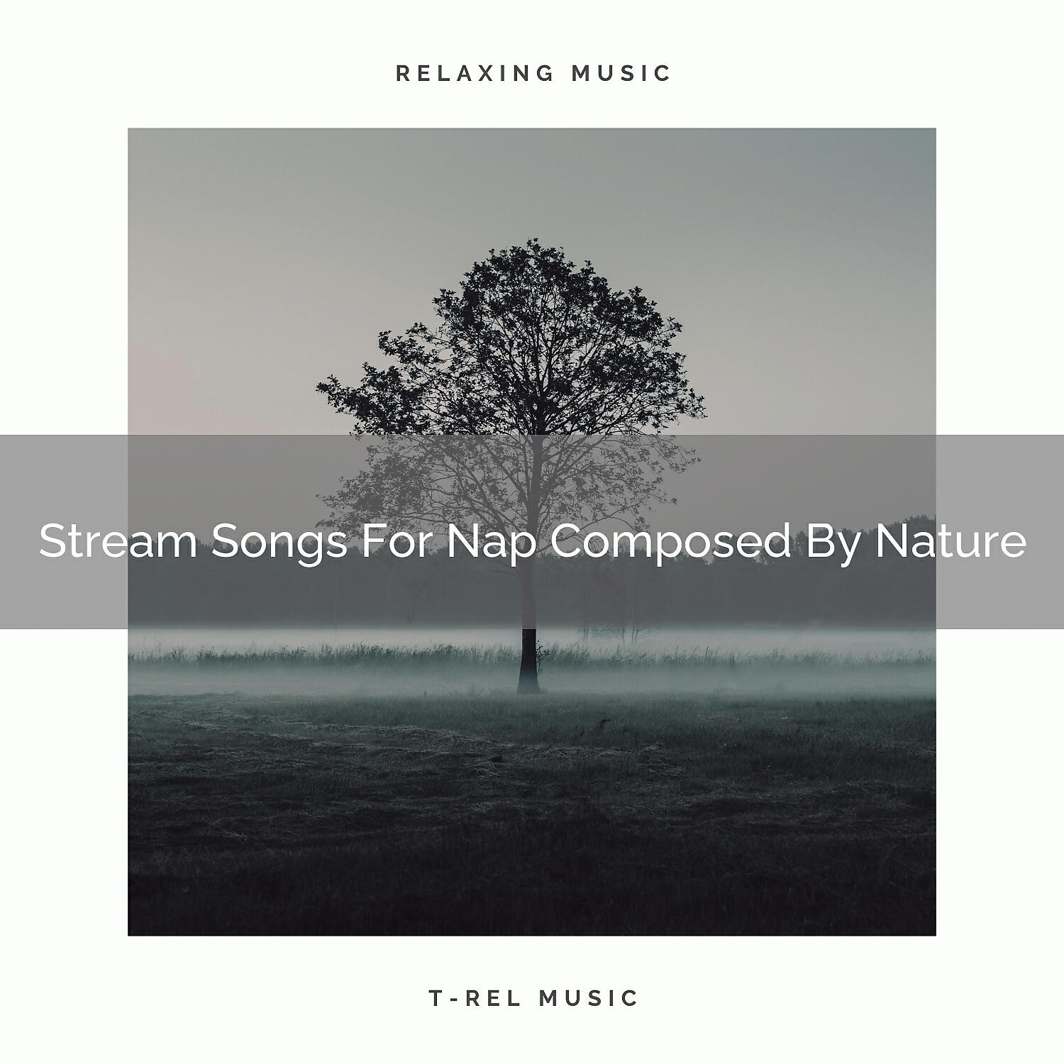 Nature Music Nature Songs - Mother Earth Calls With Windblows And Bird Songs