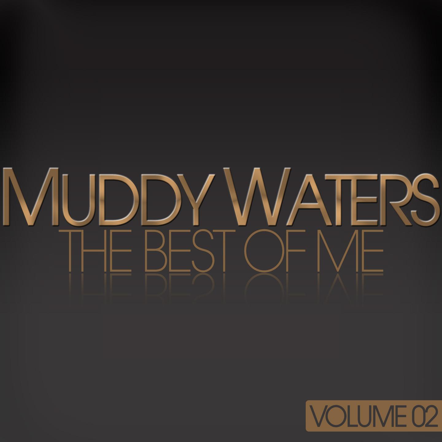 Постер альбома Muddy Waters - The Best Of Me, Vol. 2
