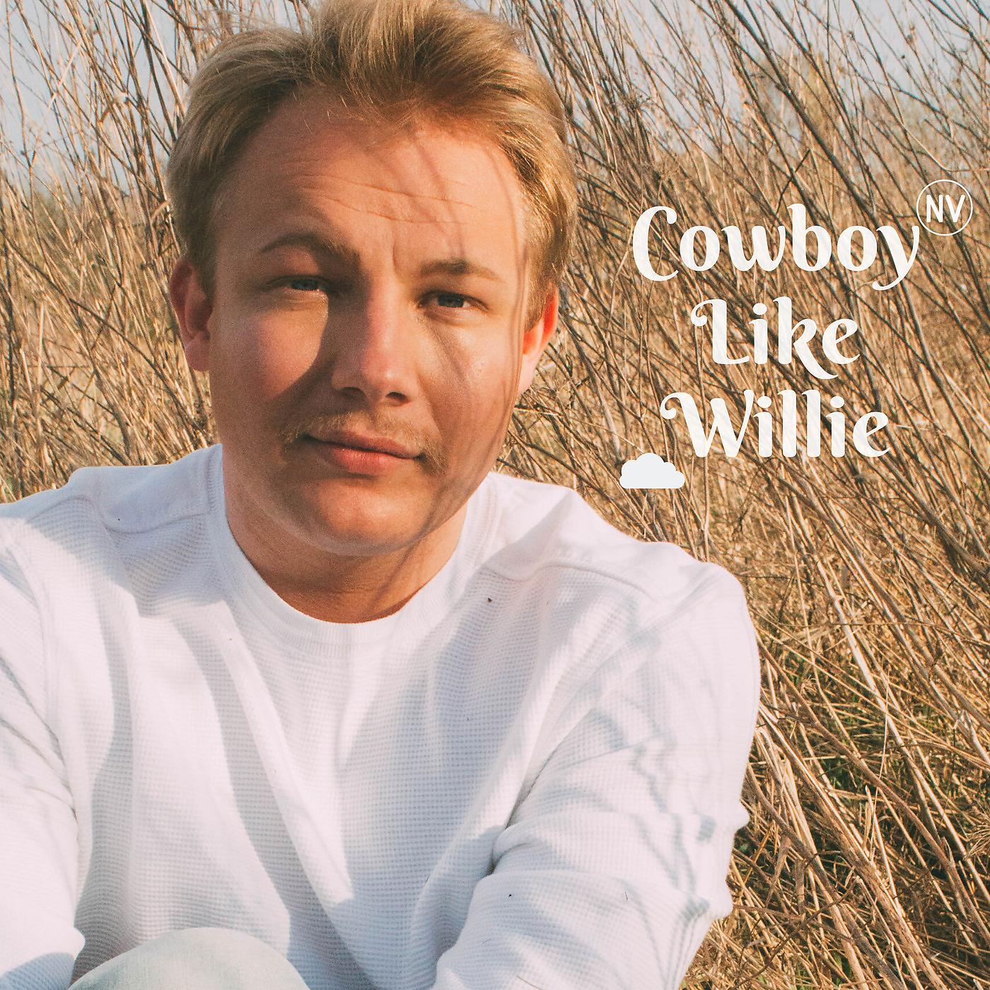 Постер альбома Cowboy Like Willie