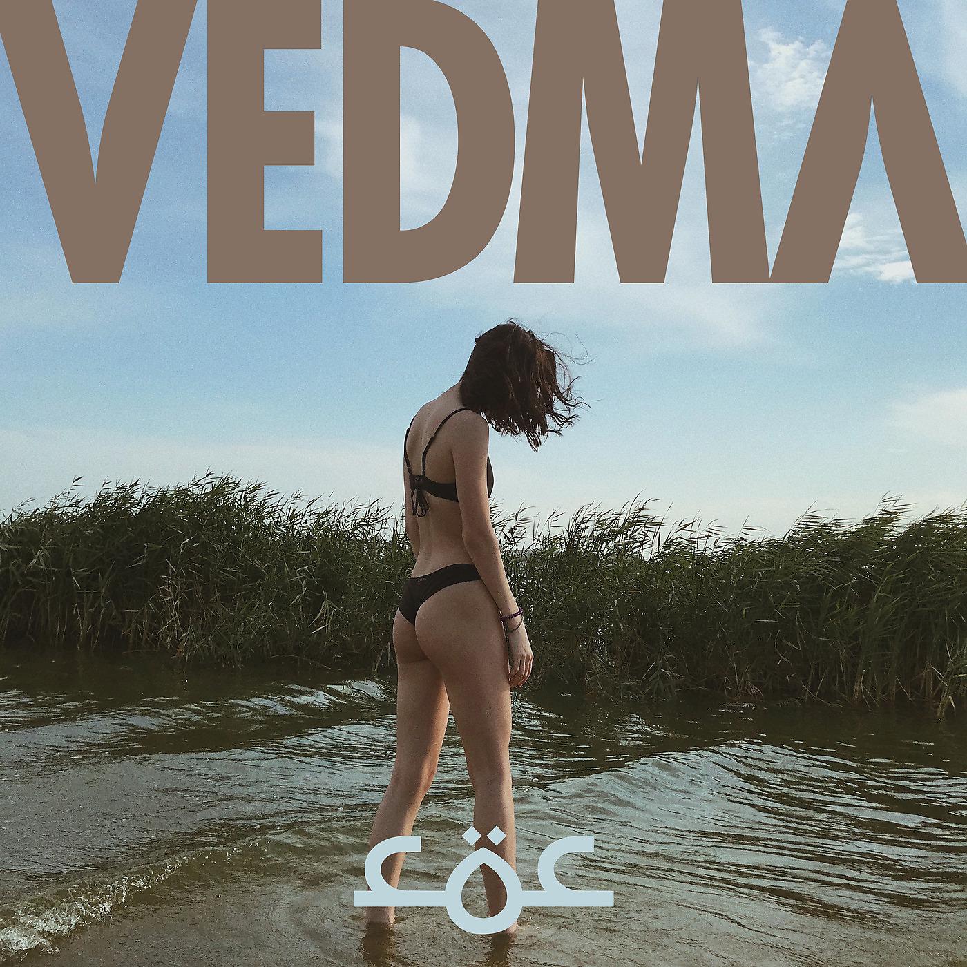 Постер альбома Vedma