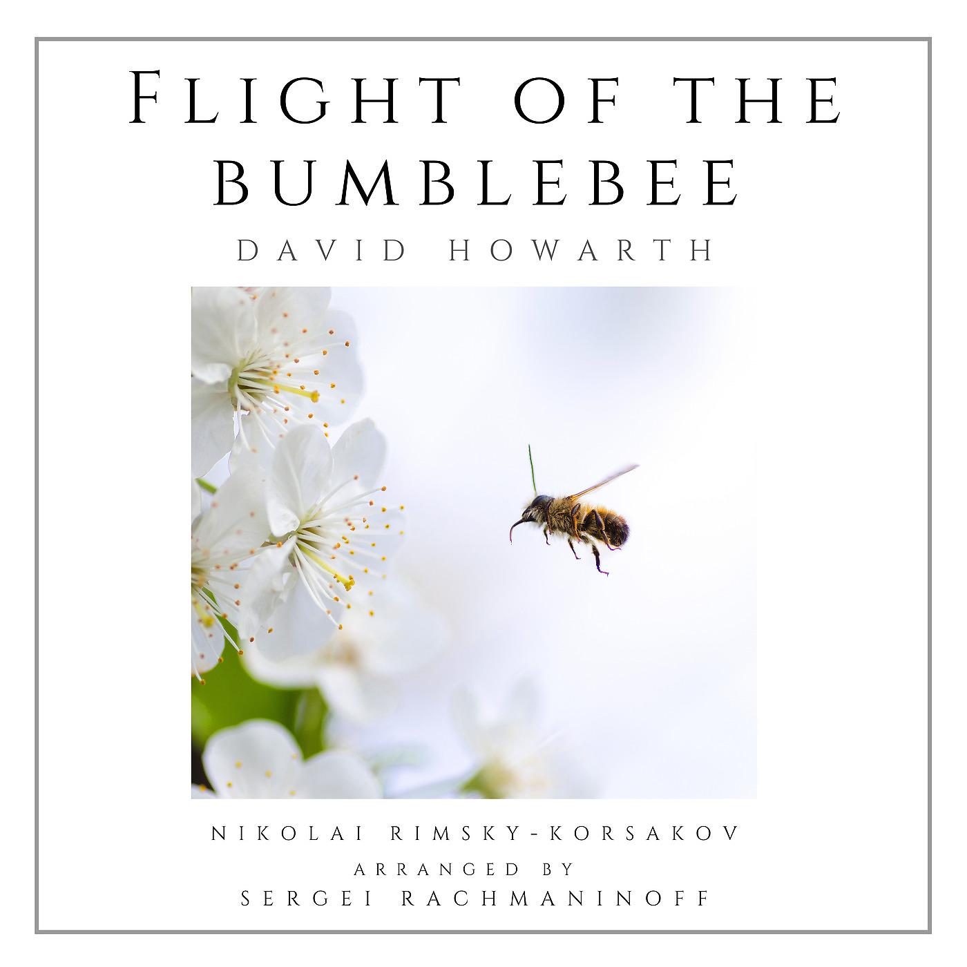 Постер альбома Flight of the Bumblebee (Solo Piano)