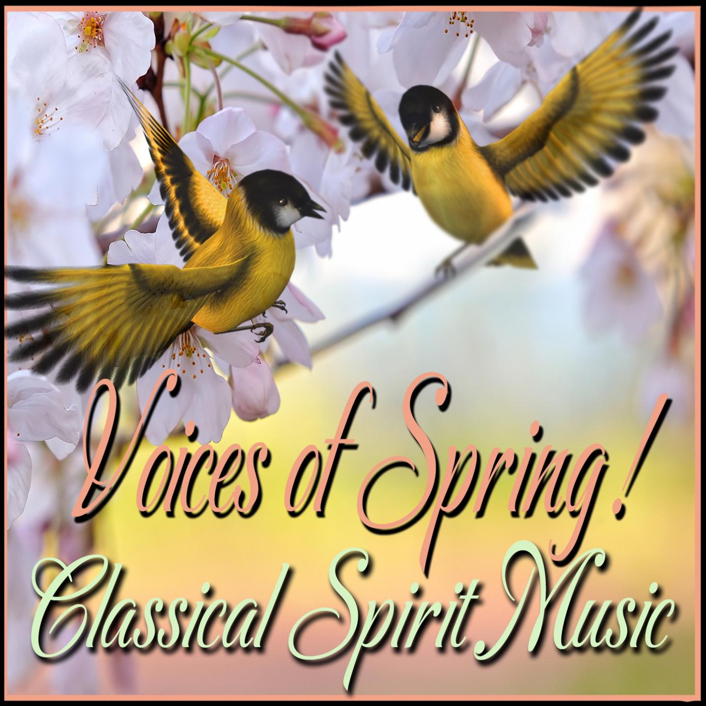 Постер альбома Voices of Spring! Classical Spirit Music