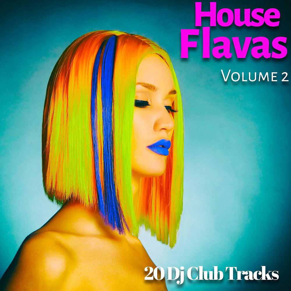 Постер альбома House Flavas, Vol. 2 (20 DJ Club Tracks)