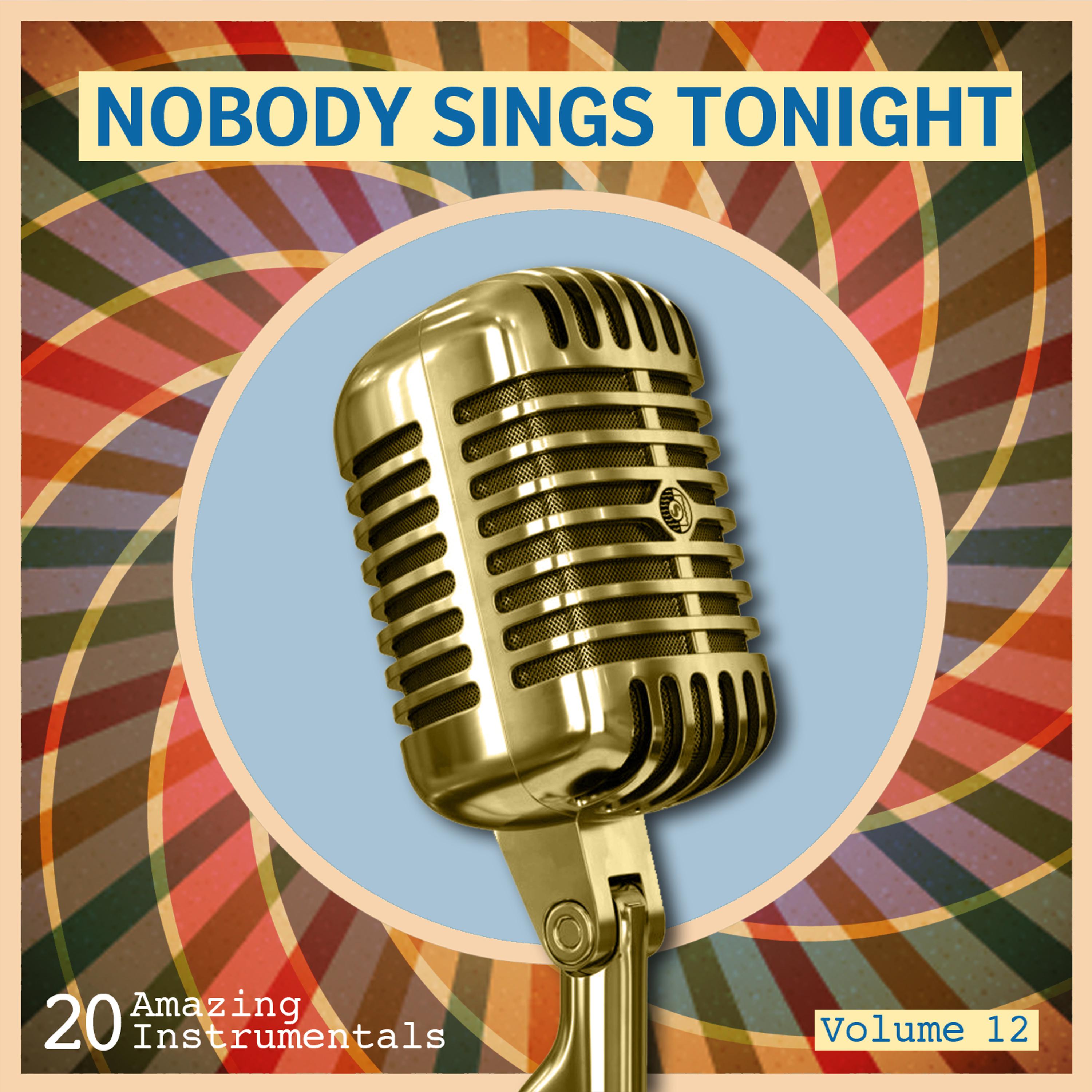 Постер альбома Nobody Sings Tonight: Great Instrumentals Vol. 12