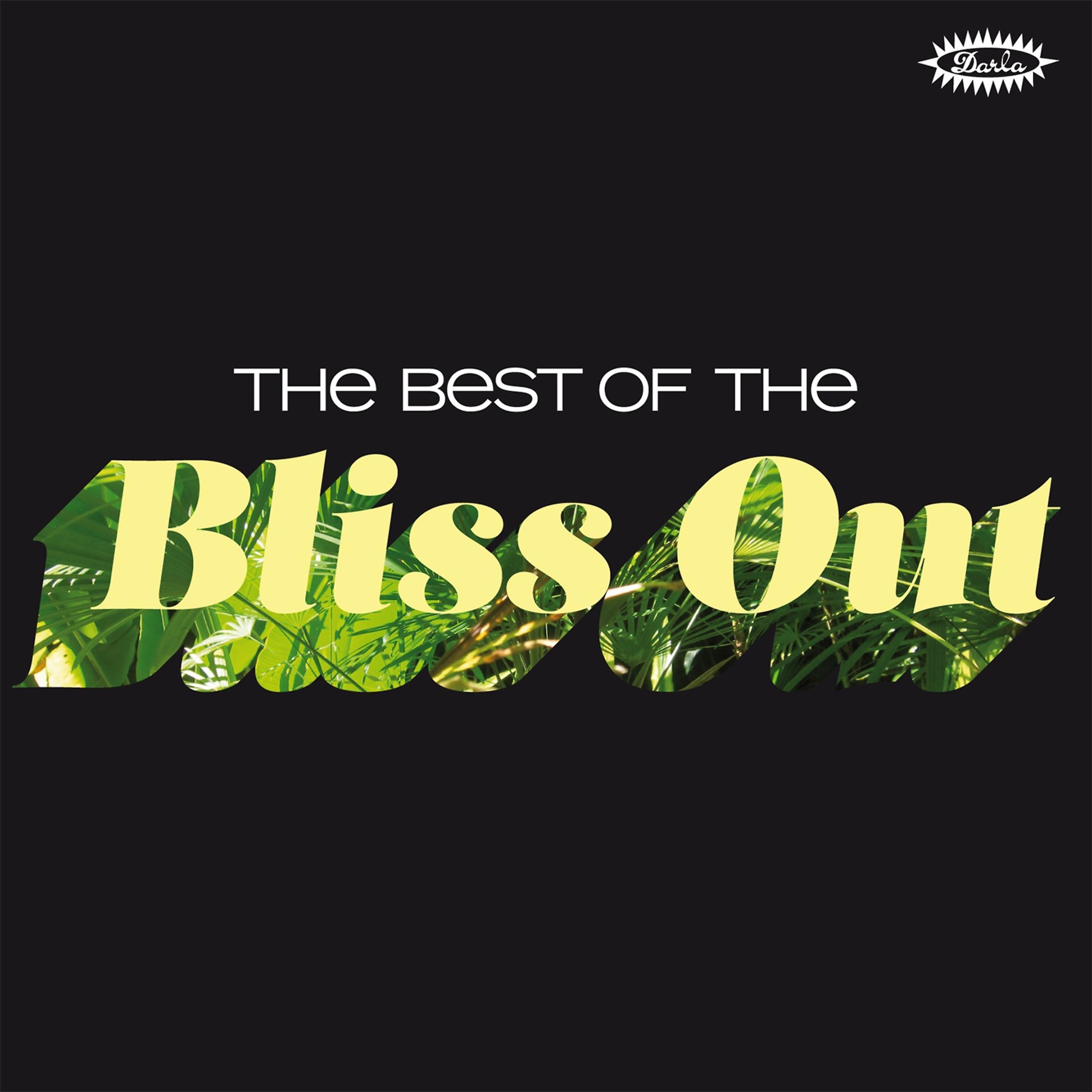 Постер альбома The Best of the Bliss Out