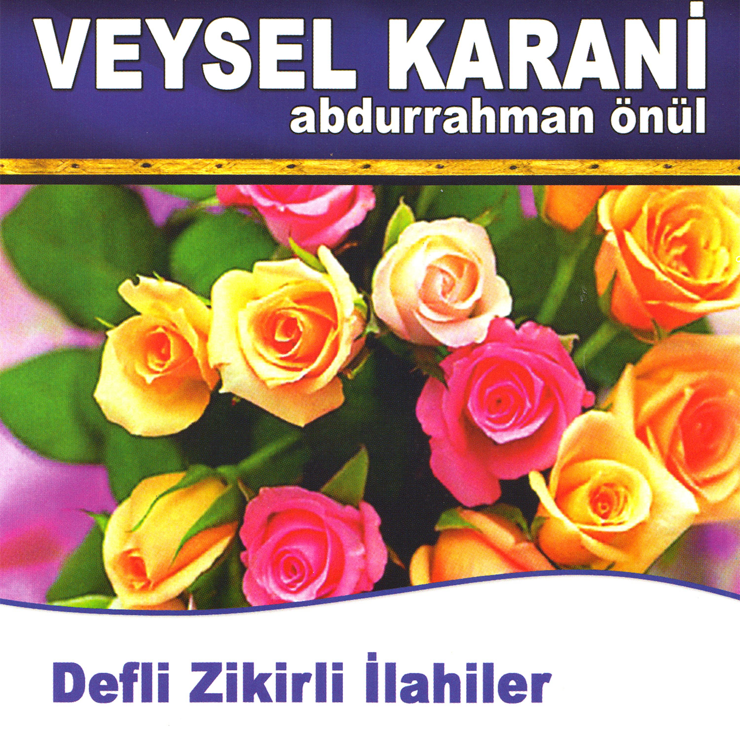 Постер альбома Veysel Karani