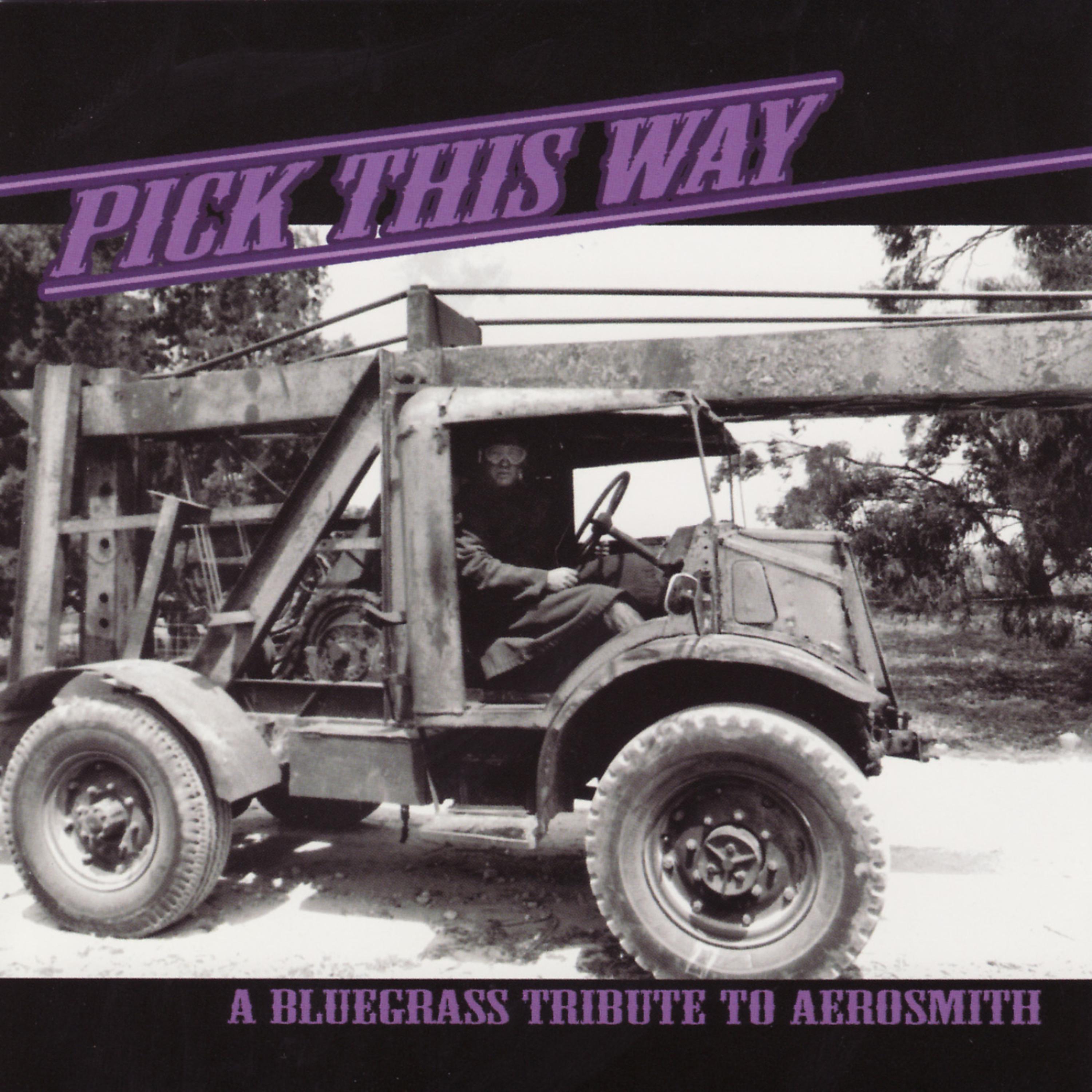 Постер альбома Pick This Way: A Bluegrass Tribute to Aerosmith