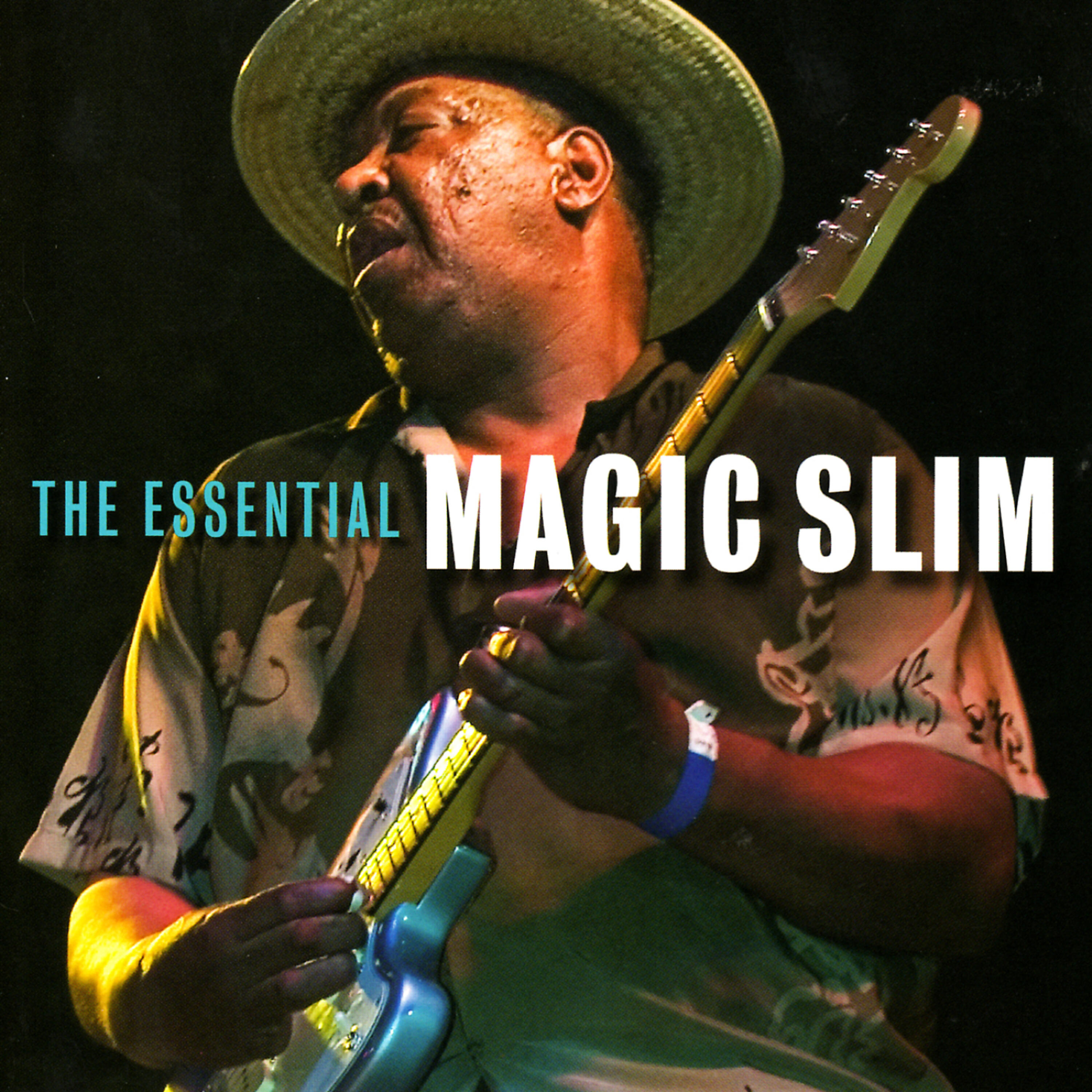 Magic Slim - Think