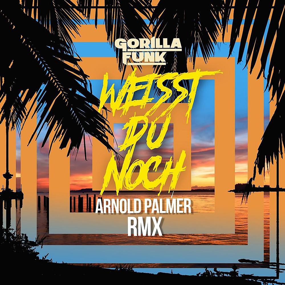 Постер альбома Weisst Du noch (Arnold Palmer Remix)