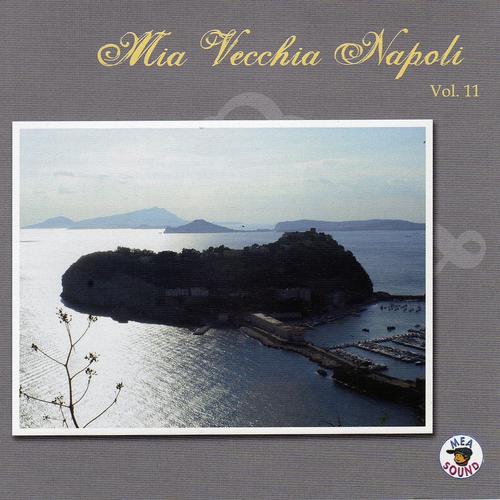 Постер альбома Mia Vecchia Napoli, vol. 11