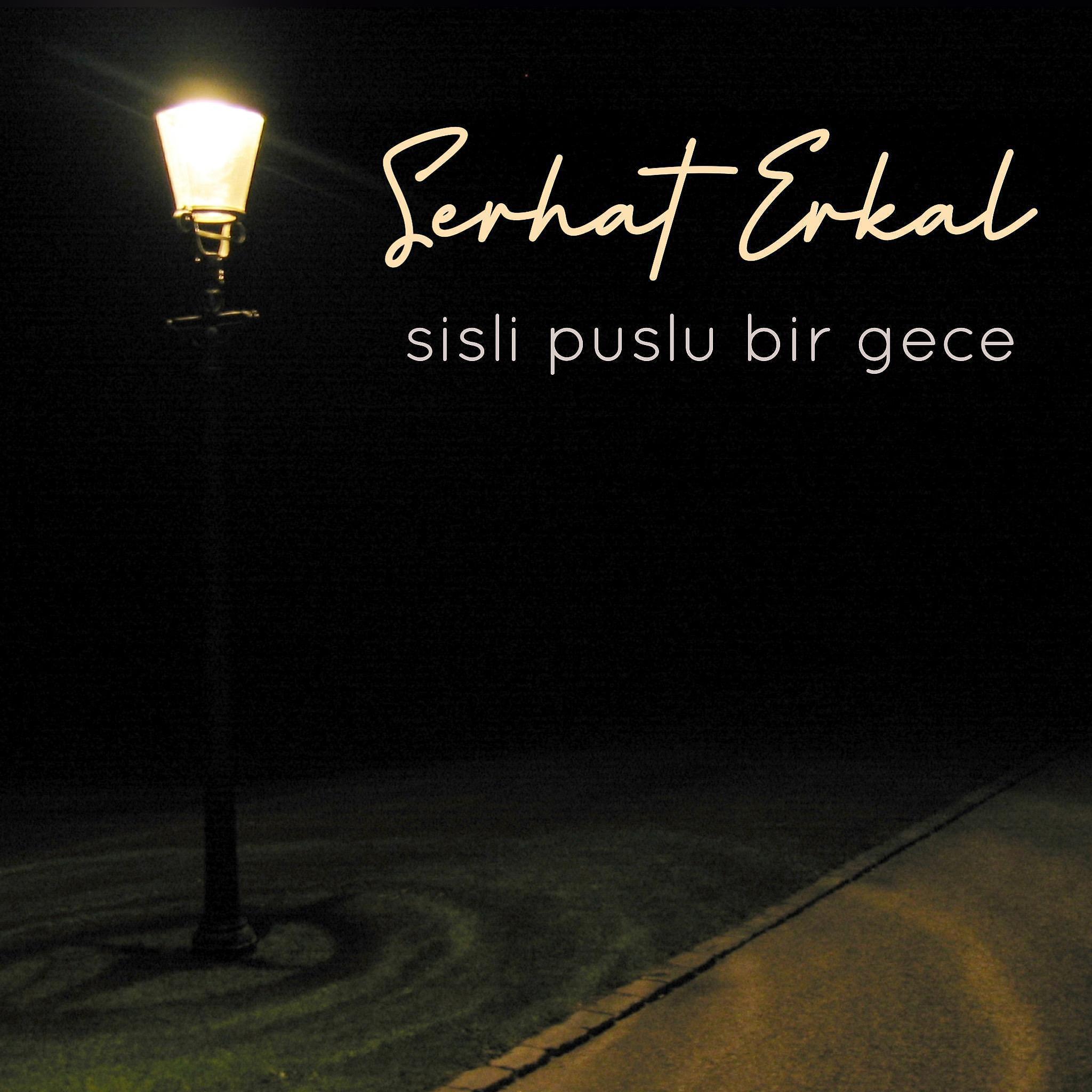 Постер альбома Sisli Puslu Bir Gece