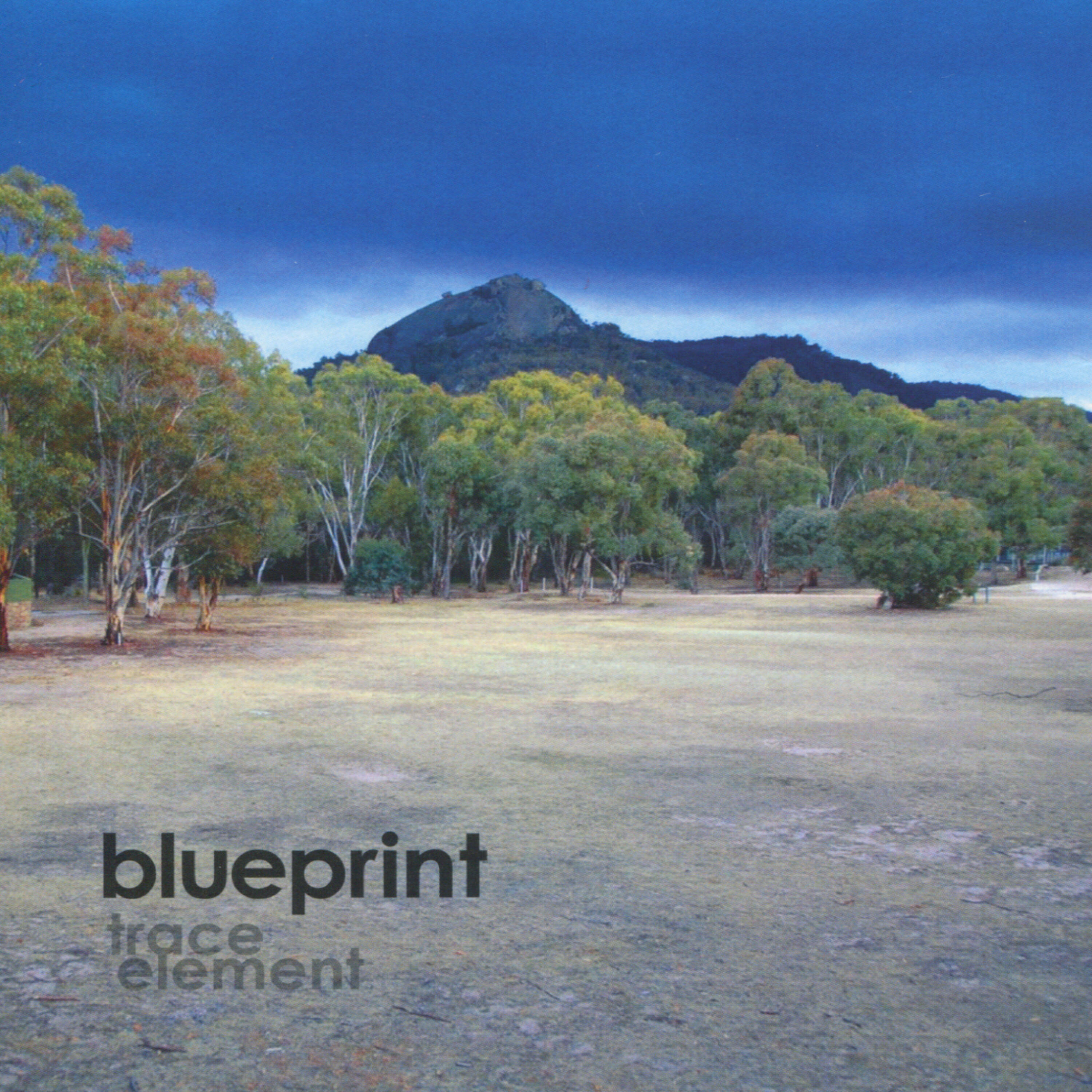 Trace Element - New Orange