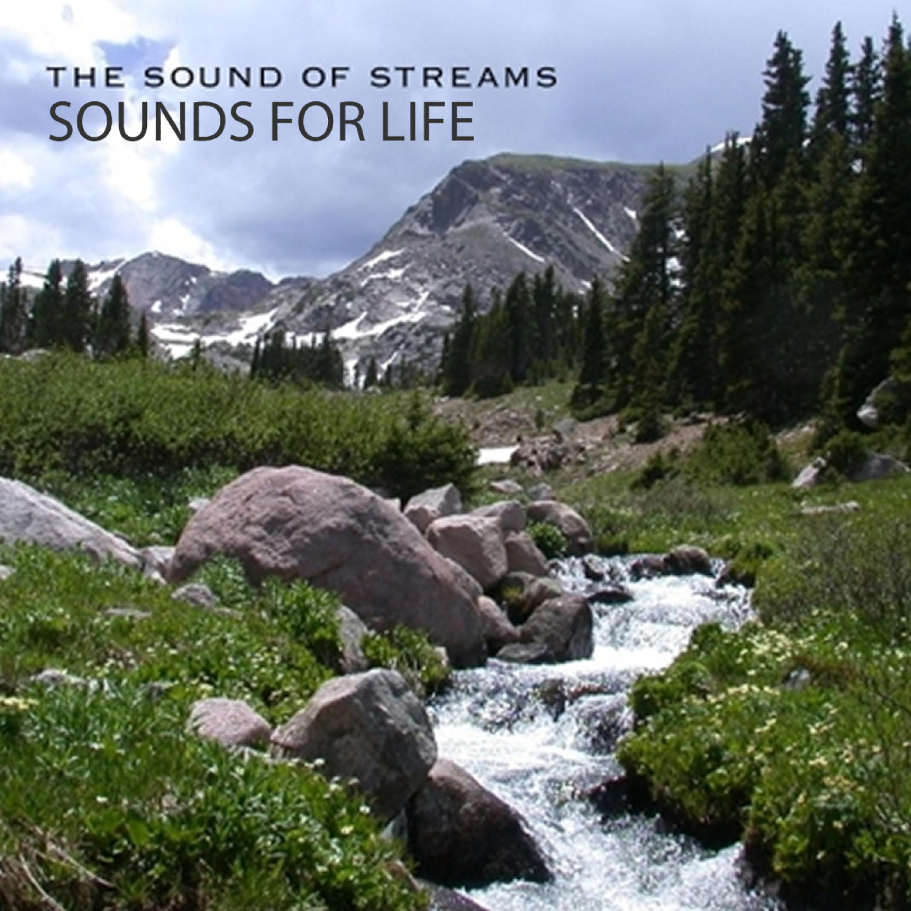 Sounds stream