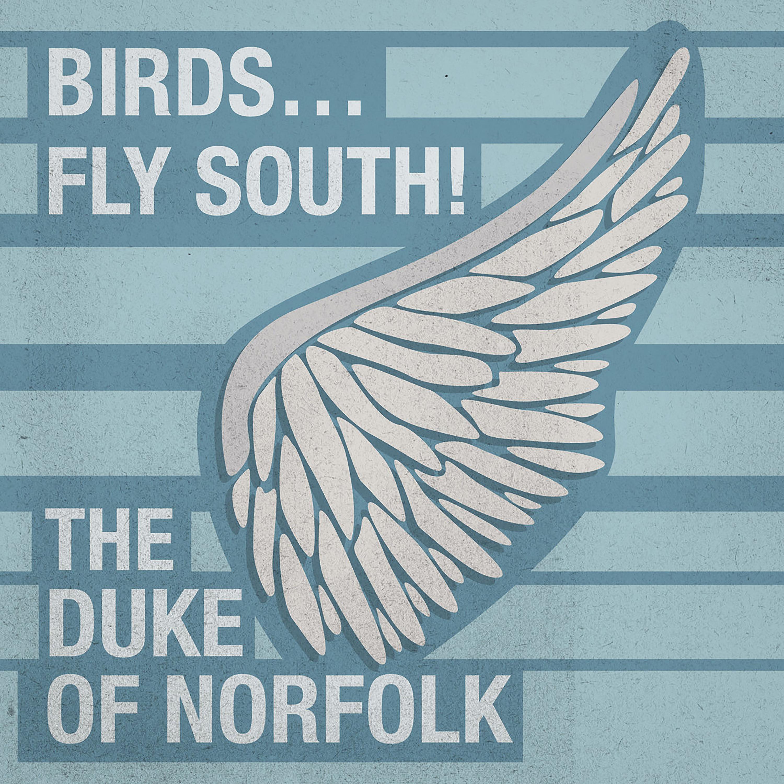 Постер альбома Birds...Fly South!