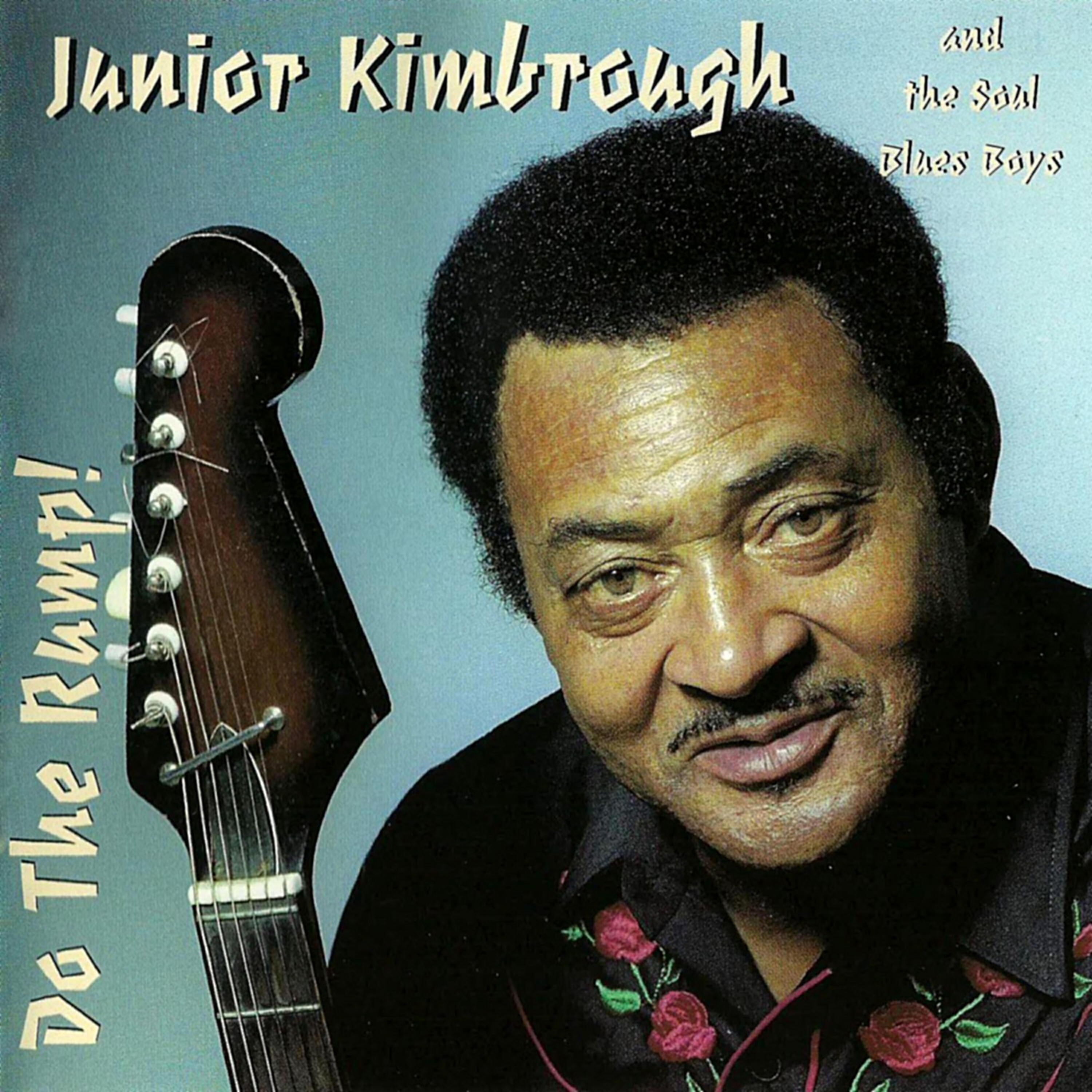 Junior Kimbrough - I'm so Glad Trouble Don't Last Always