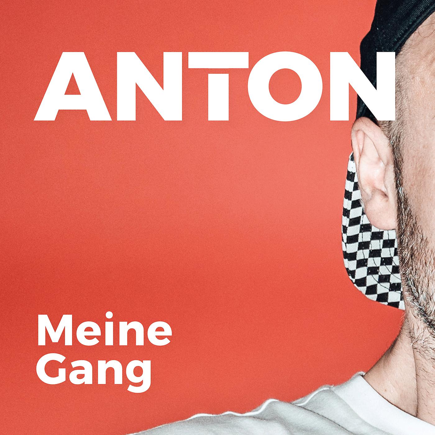 Постер альбома Meine Gang