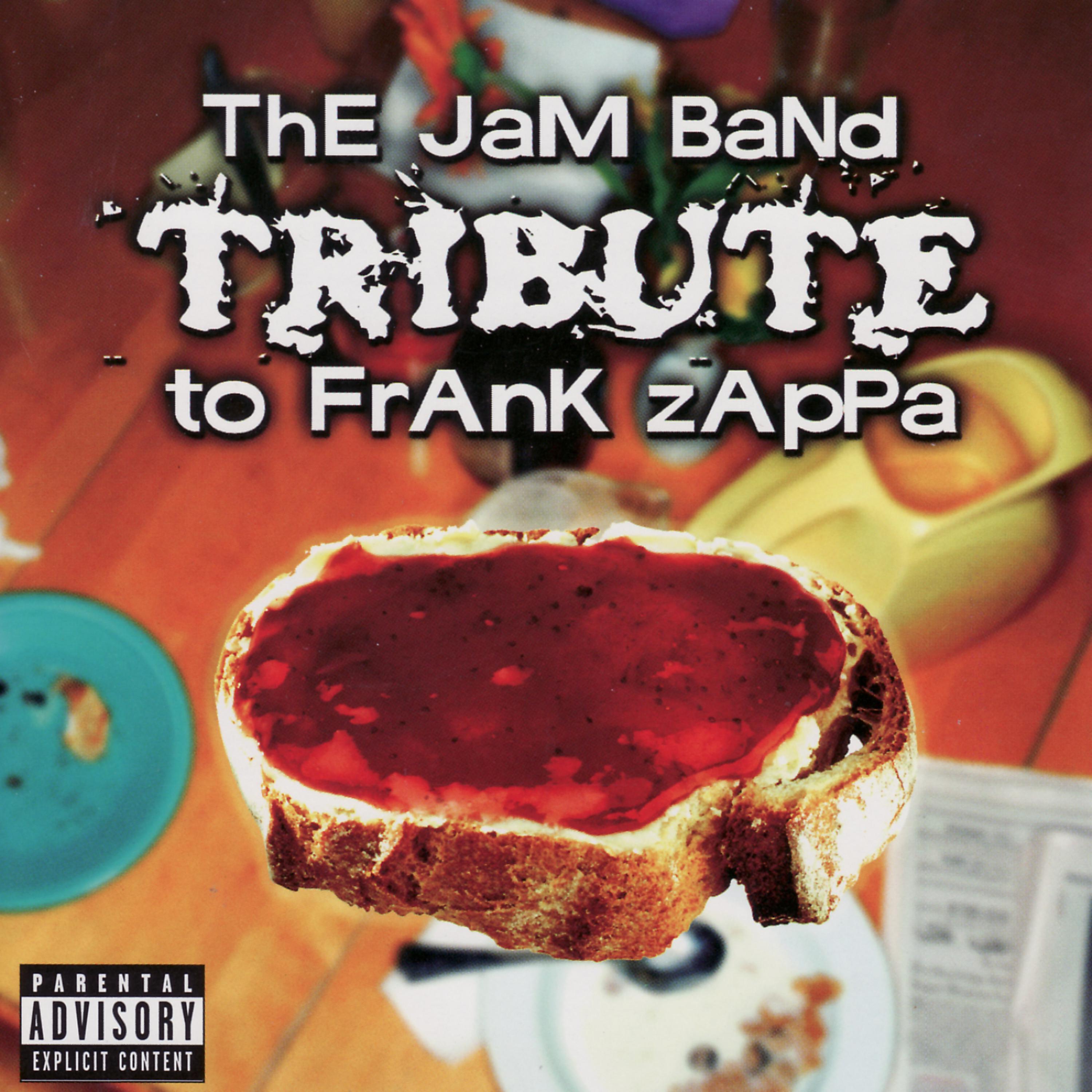 Постер альбома The Jam Band Tribute to Frank Zappa