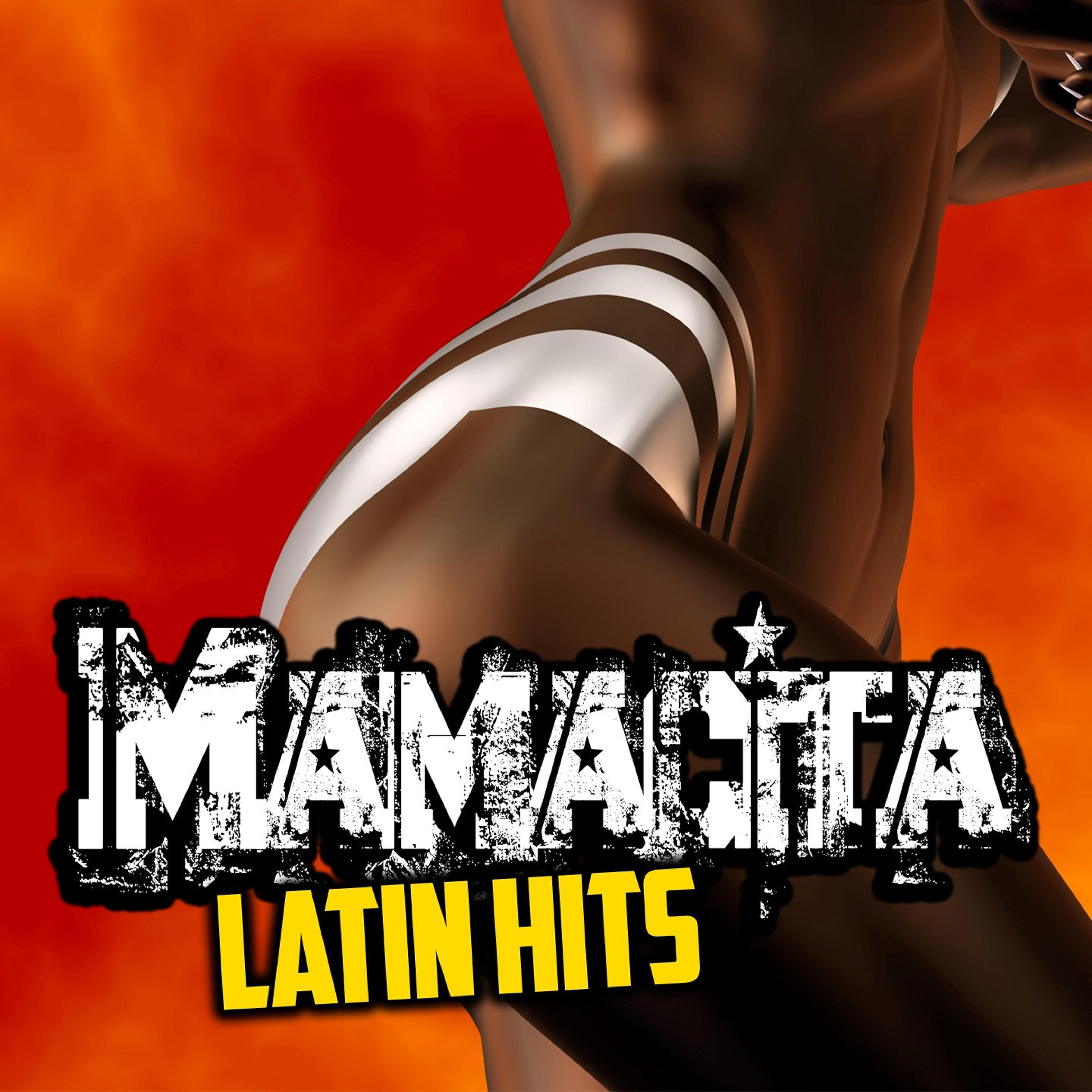 Постер альбома Mamacita Latin Hits