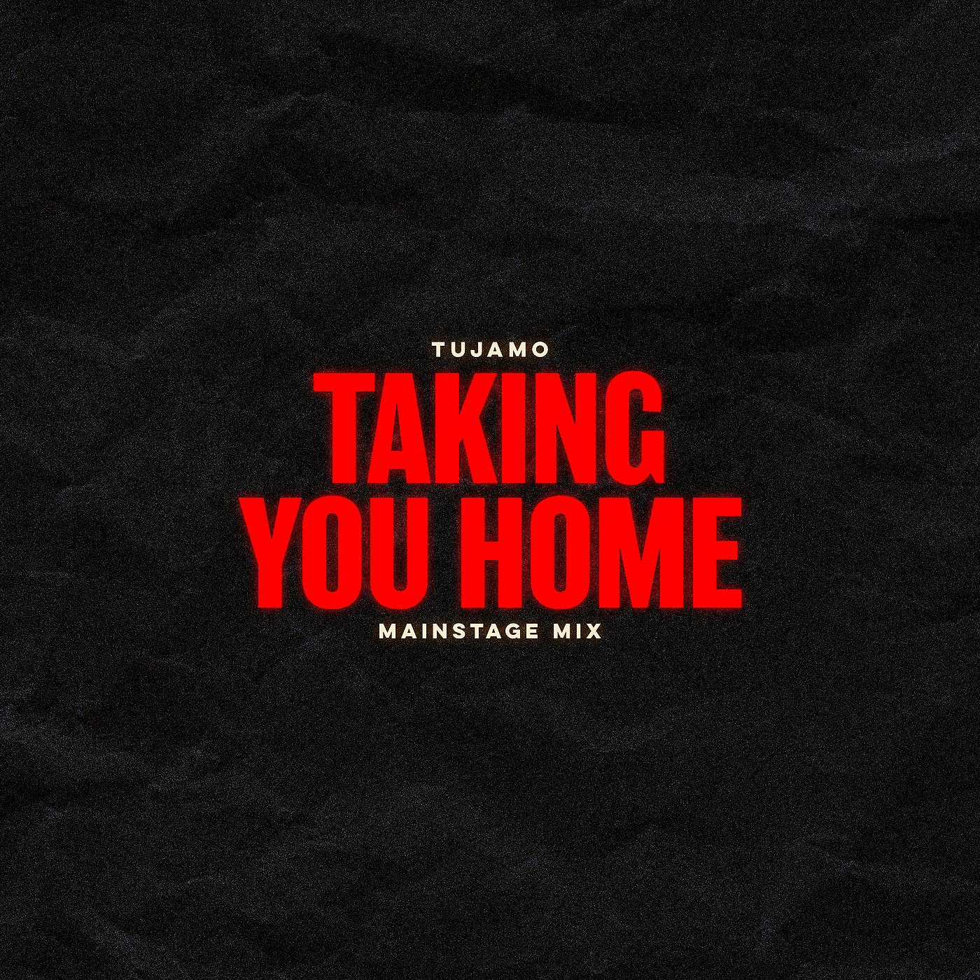 Постер альбома Taking You Home