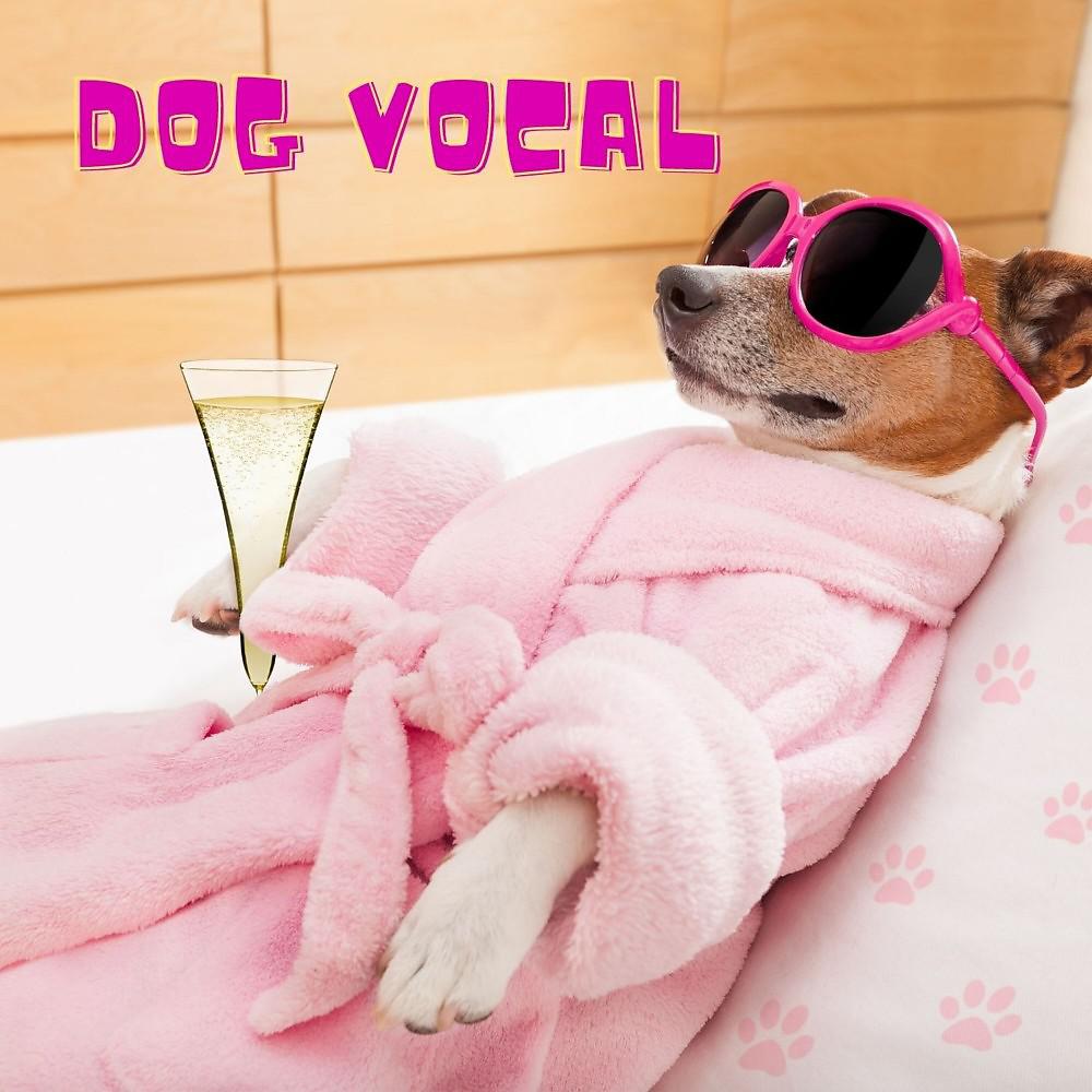 Постер альбома Dog Vocal