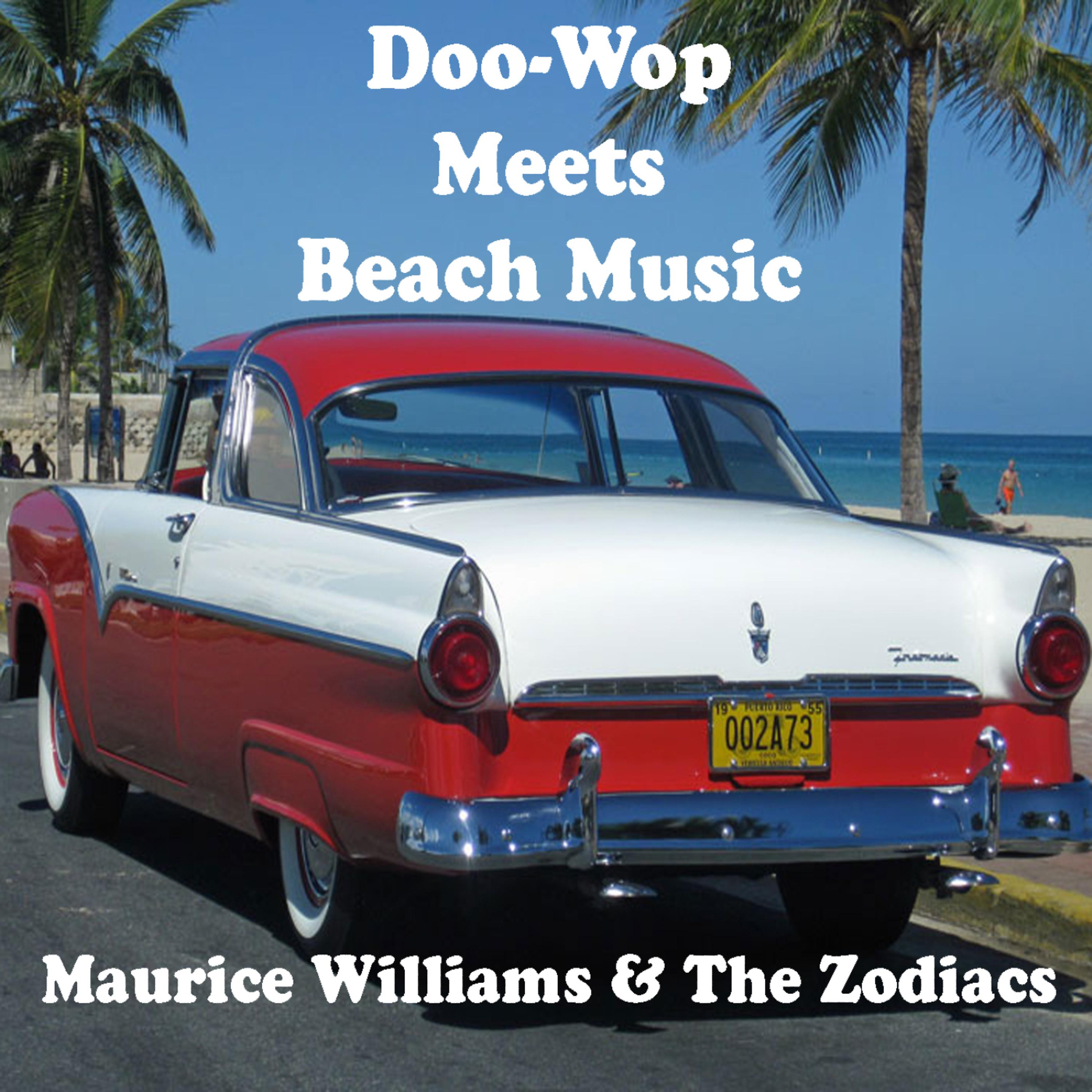 Постер альбома Doo-Wop Meets Beach Music
