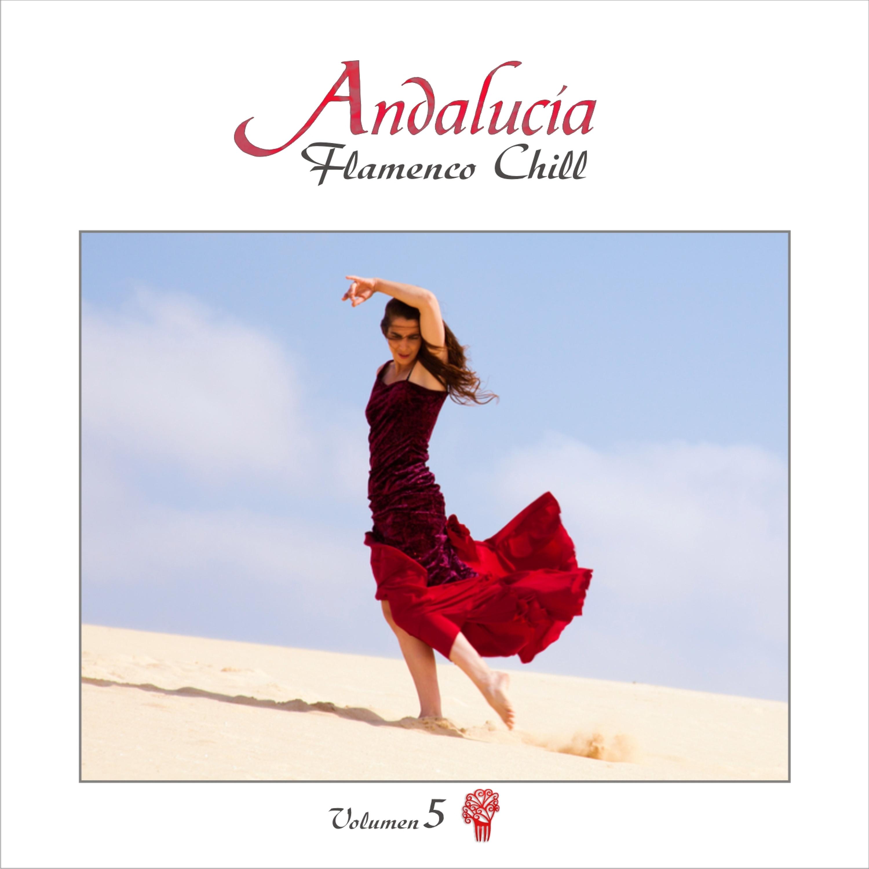 Постер альбома Andalucía Flamenco Chill, Vol. 5