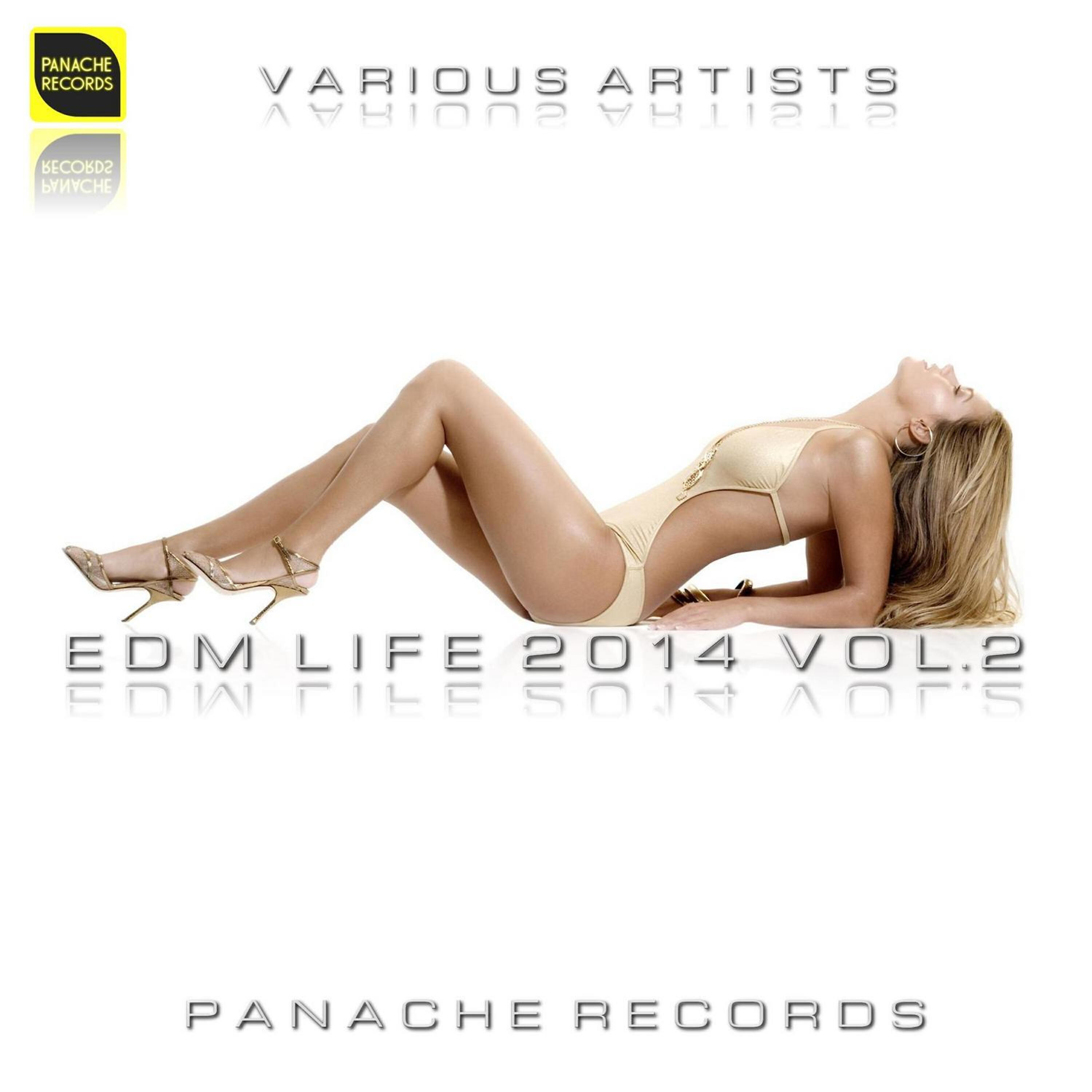 Nitesh - Elation (Album Mix)