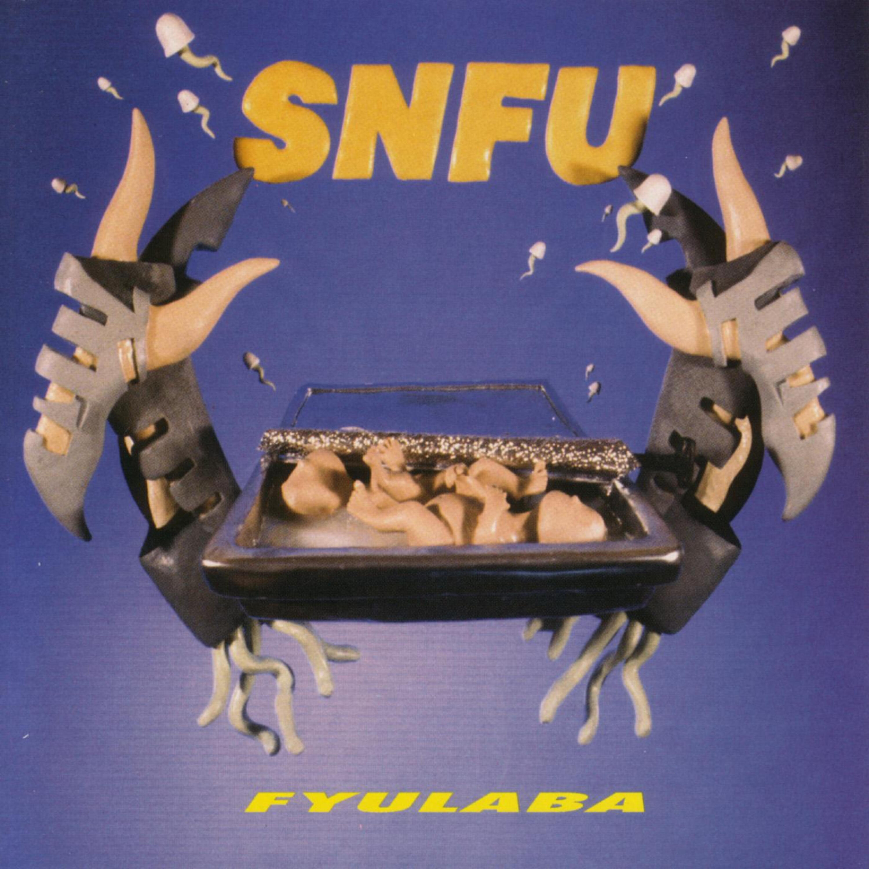 SNFU - My Pathetic Past