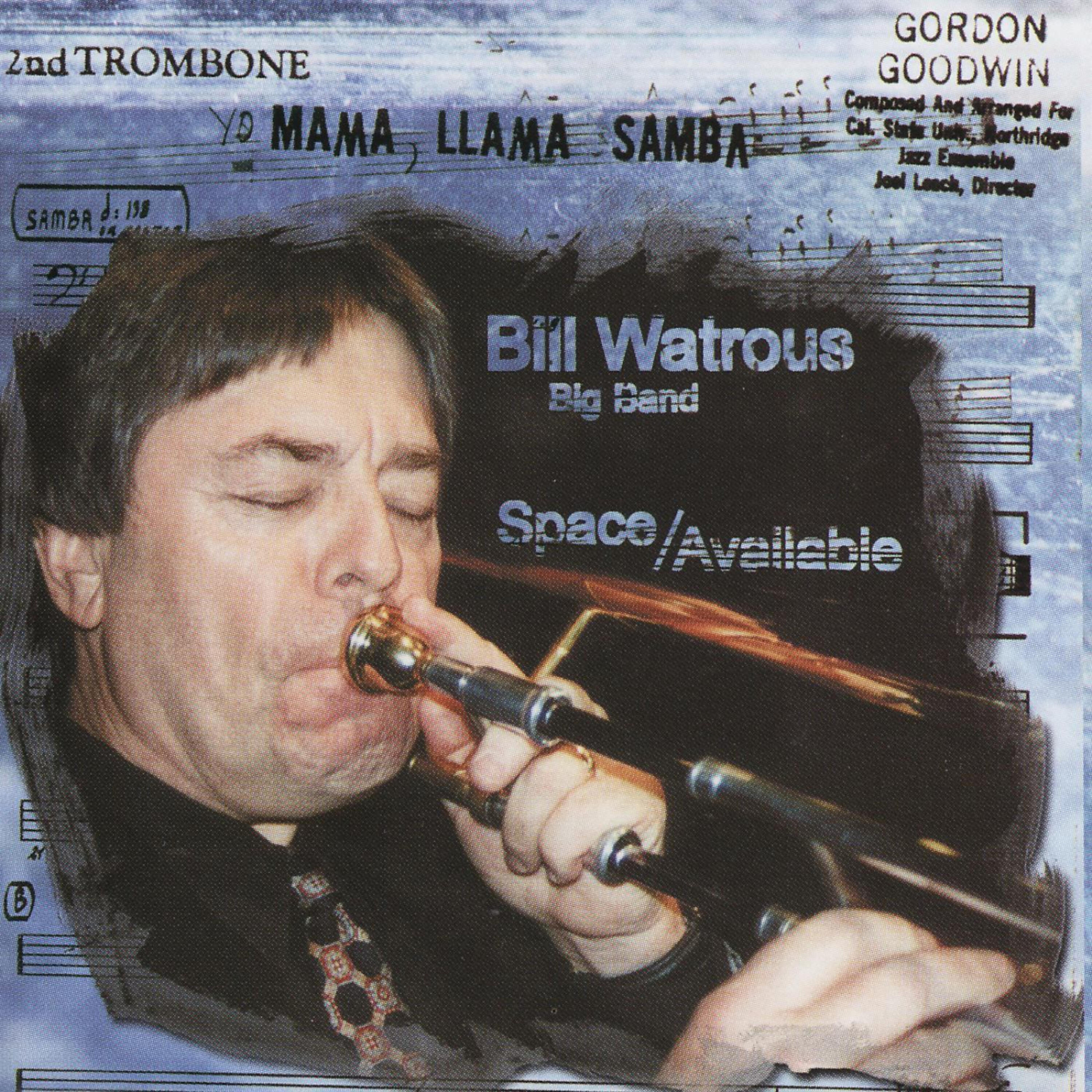 Bob McChesney - Space Available