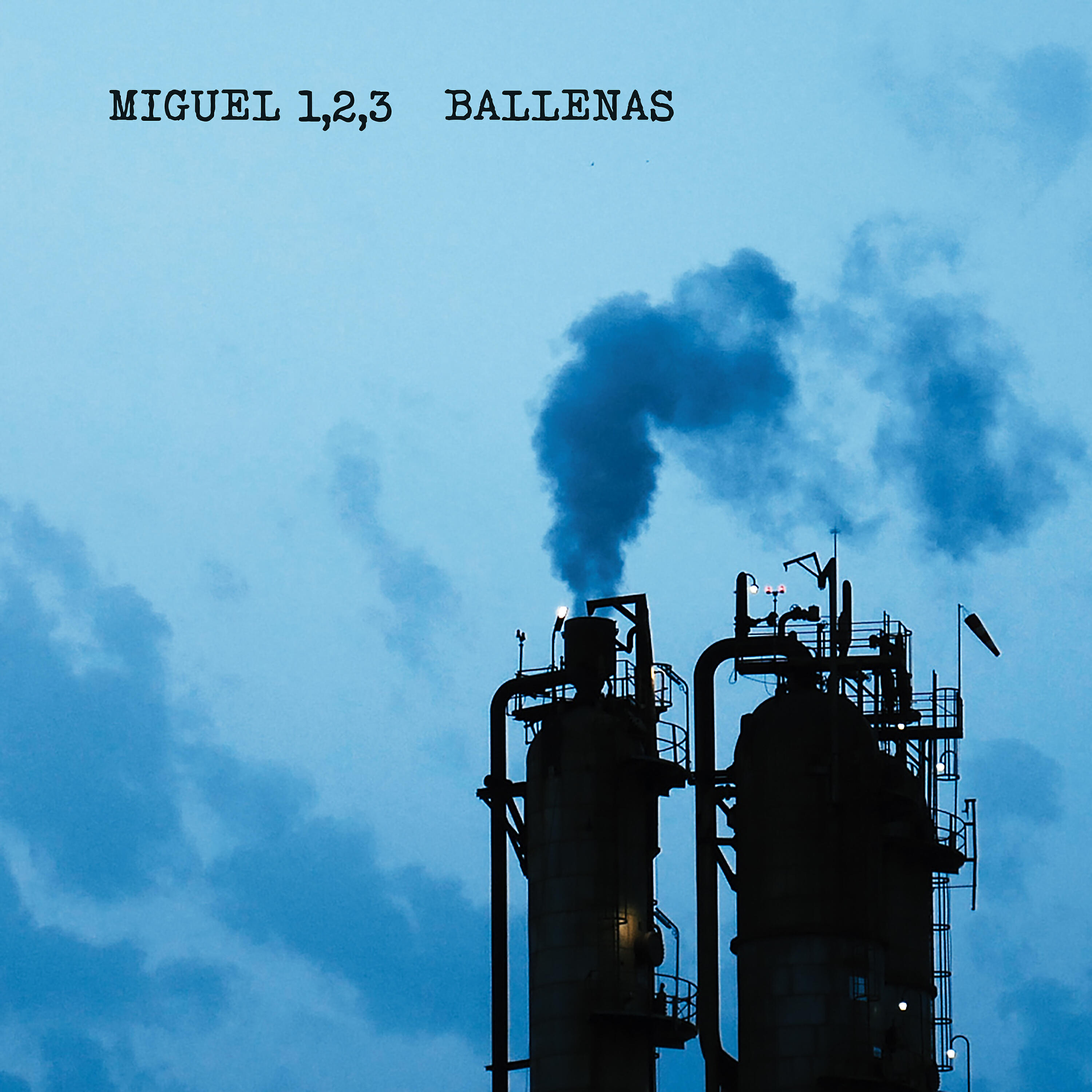 Miguel 1 - Ballenas